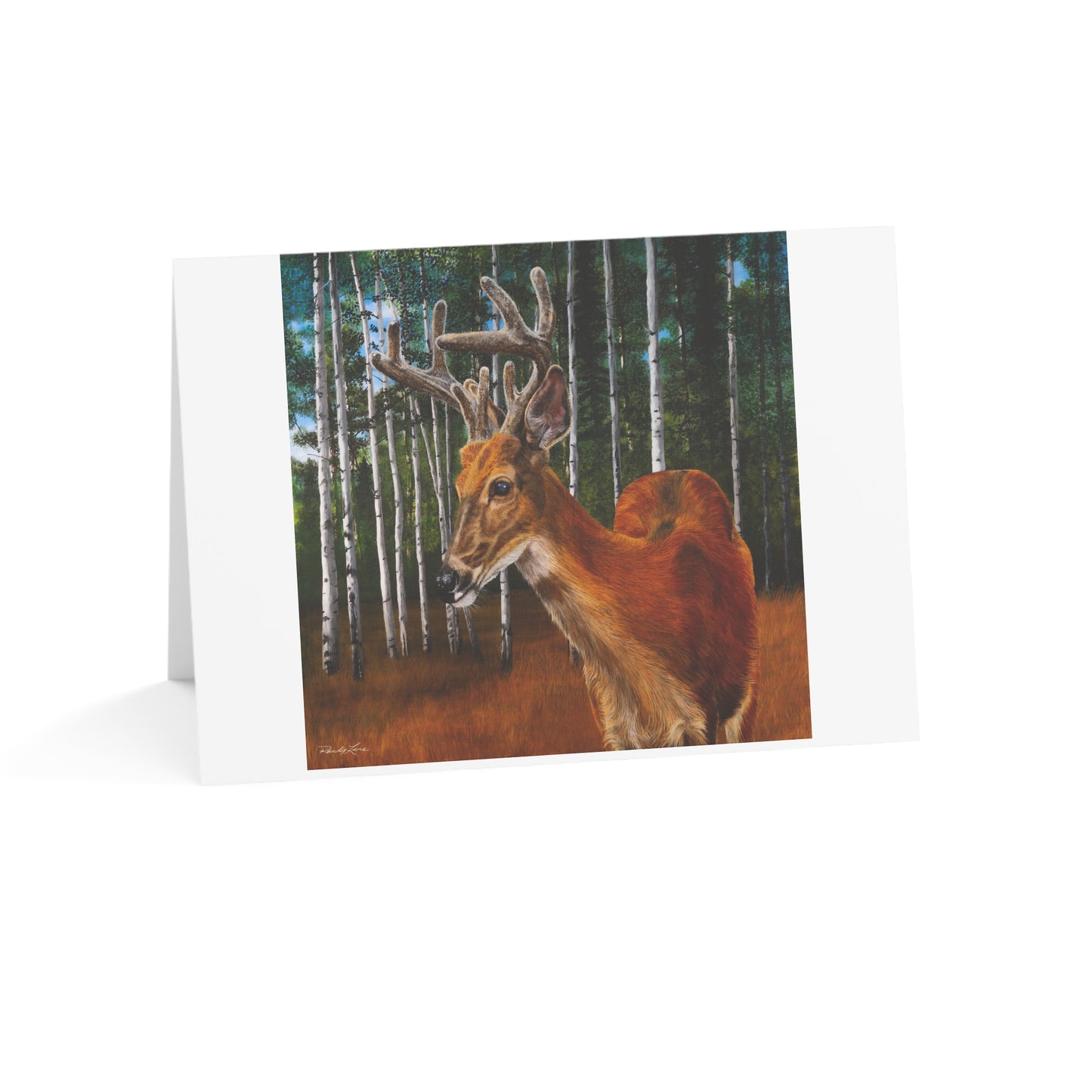 Velvet Crush, Deer Greeting Cards (1, 10, 30, and 50pcs)