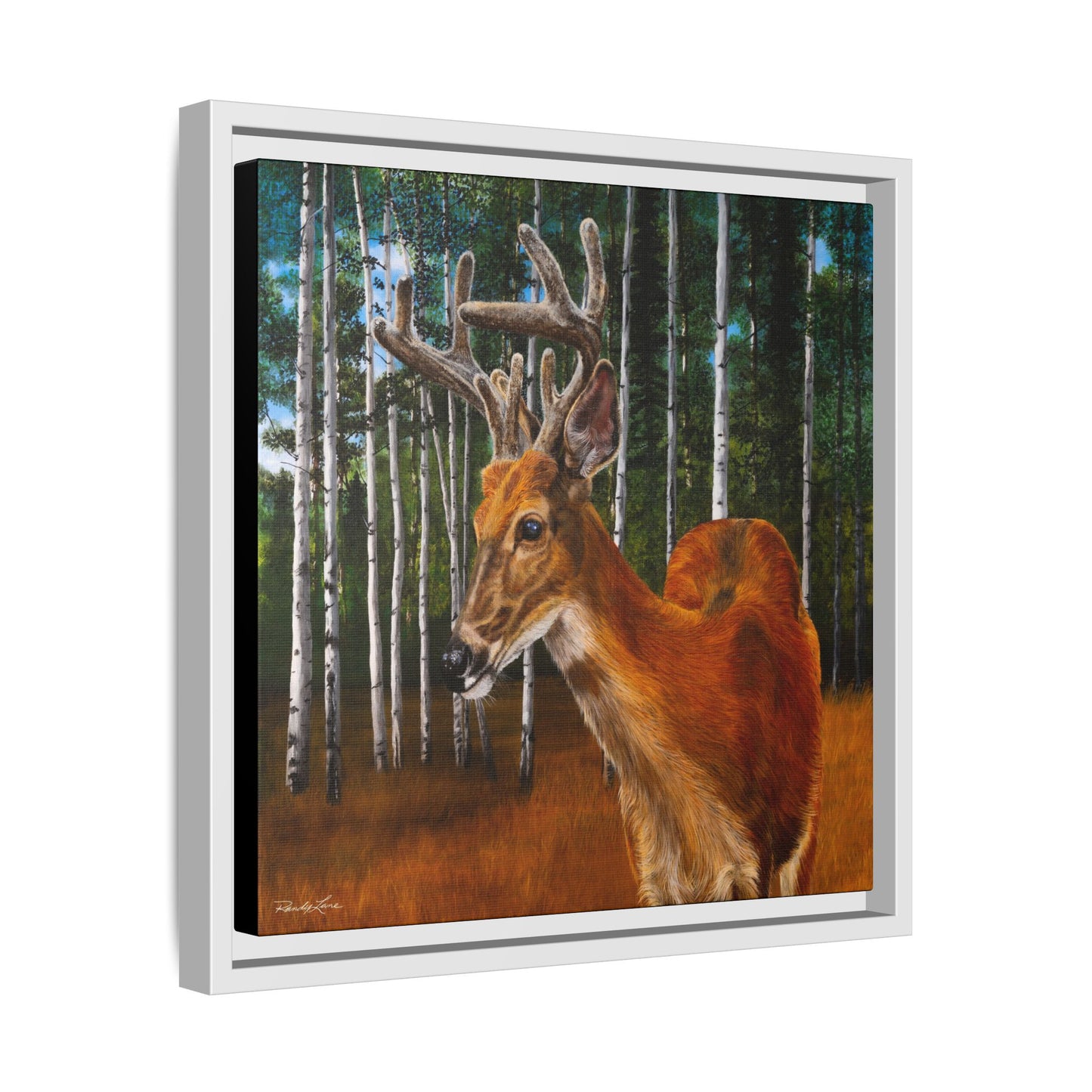 Velvet Crush, Framed Deer Canvas Art