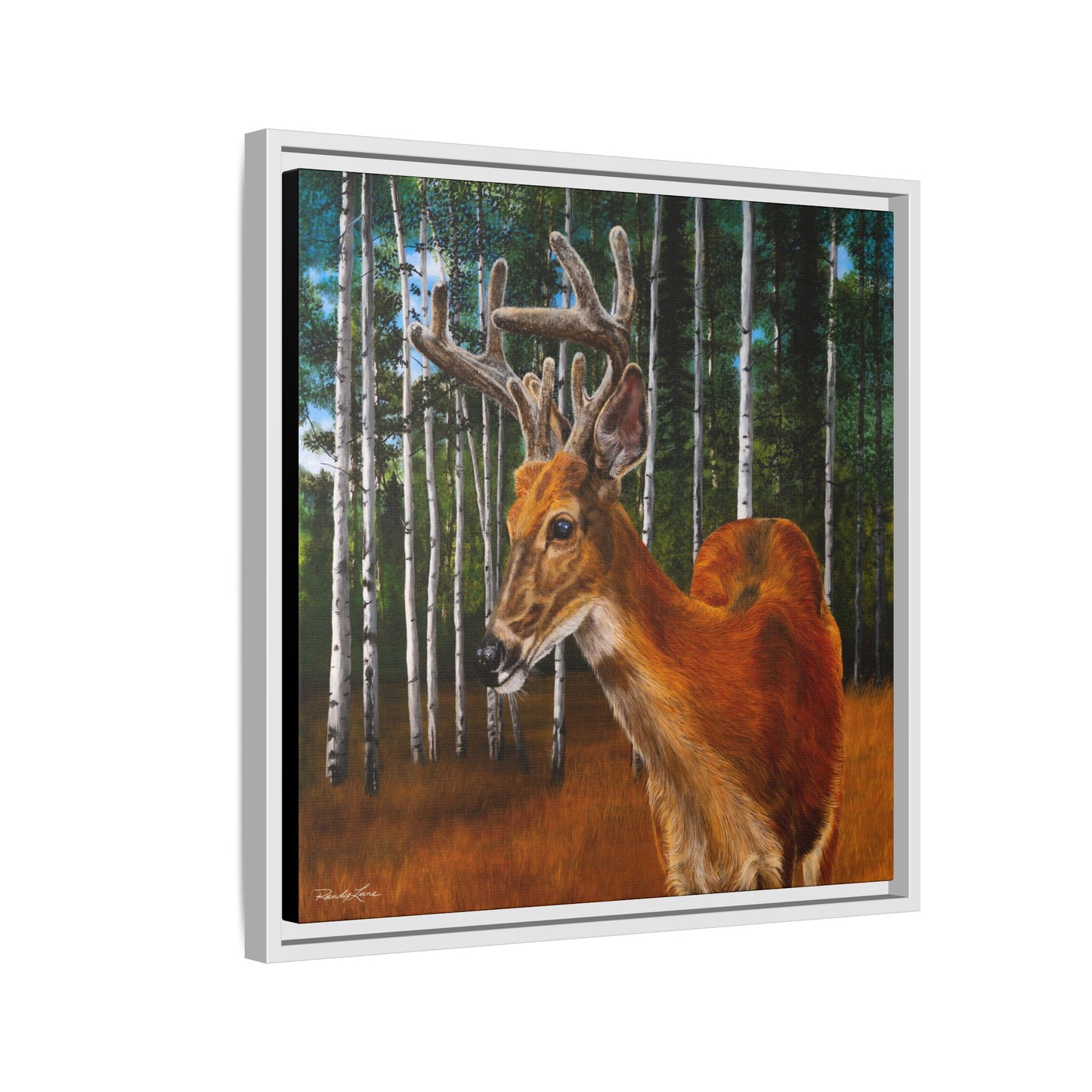 Velvet Crush, Framed Deer Canvas Art