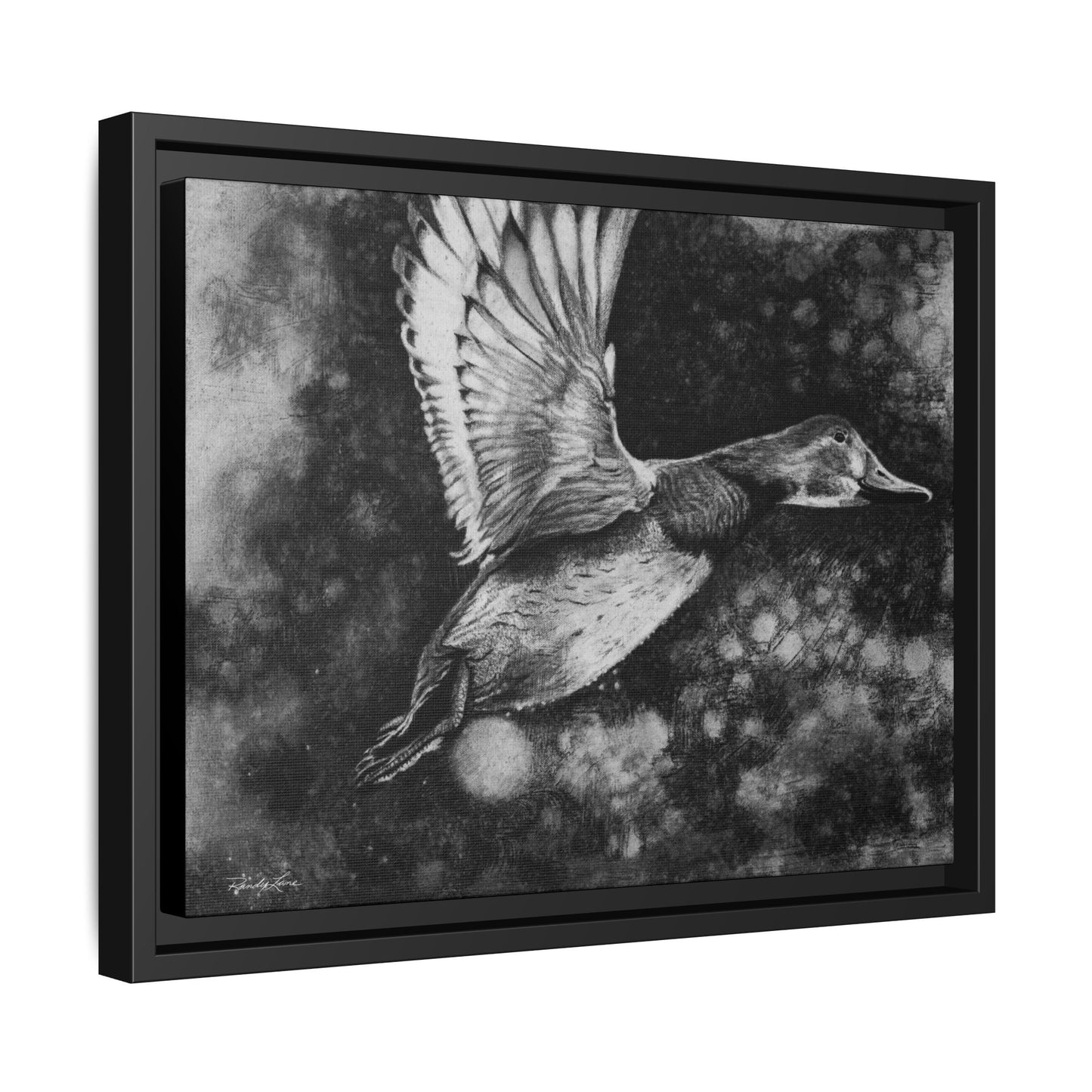 Flare, Framed Duck Canvas Art