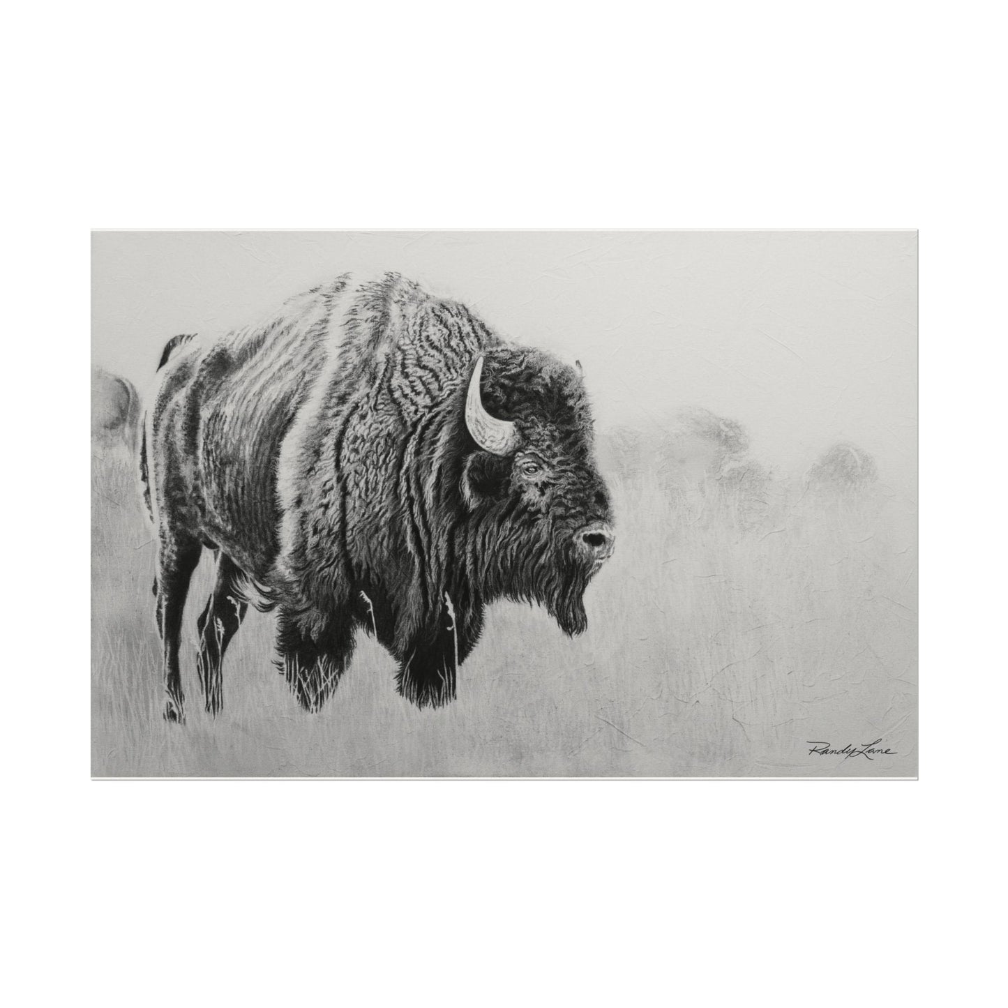 Prairie Bison, Bison Painting Matte Print – Textured Black & White Wildlife Art Print