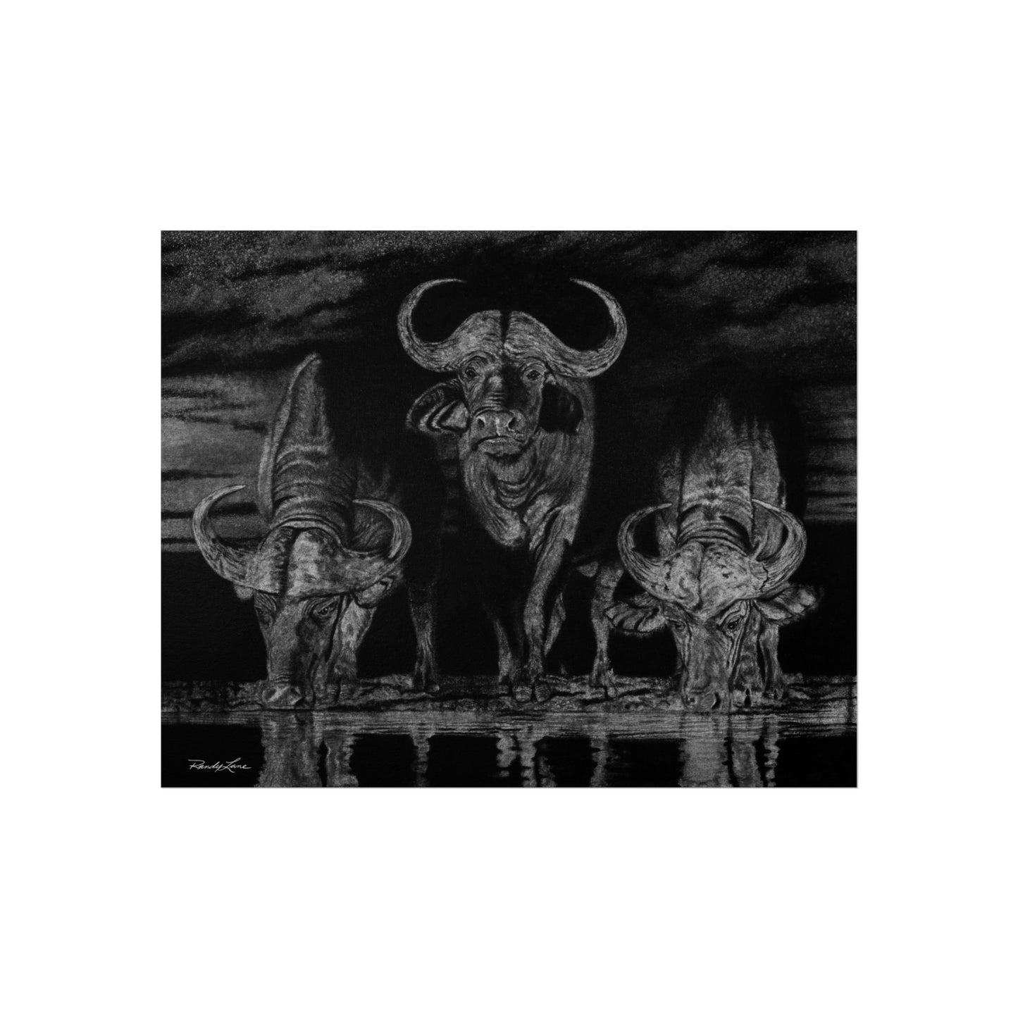 The Waterhole, Cape Buffalo Fine Art Print