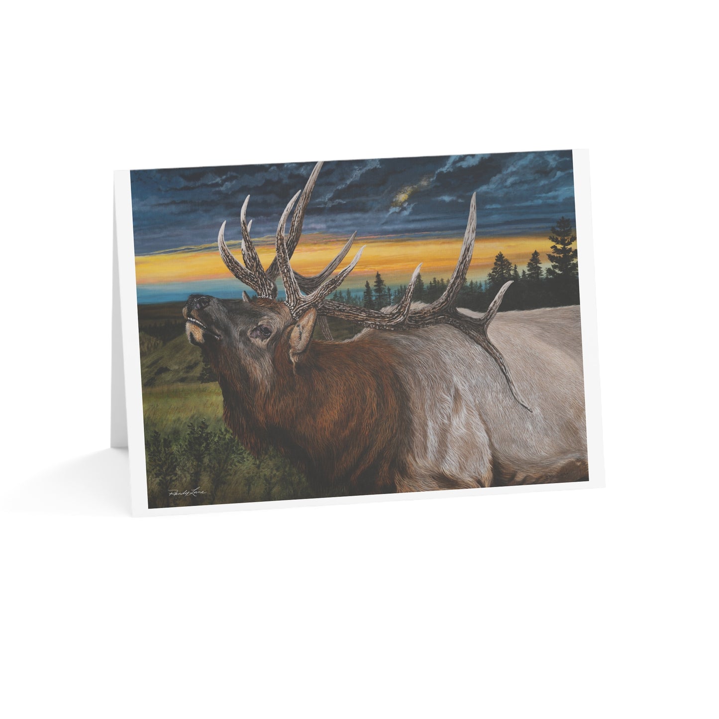Sunset Serenade, Elk Sunset Greeting Cards