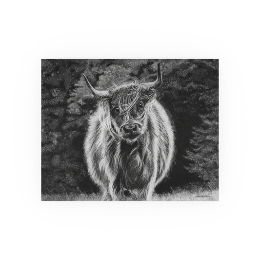 Ragamuffin, Highland Cow Fine Art Print
