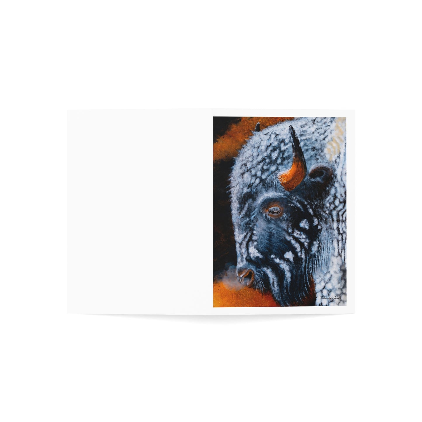 Storm Bison, Greeting Cards Set -  Perfect for Every Occasion
