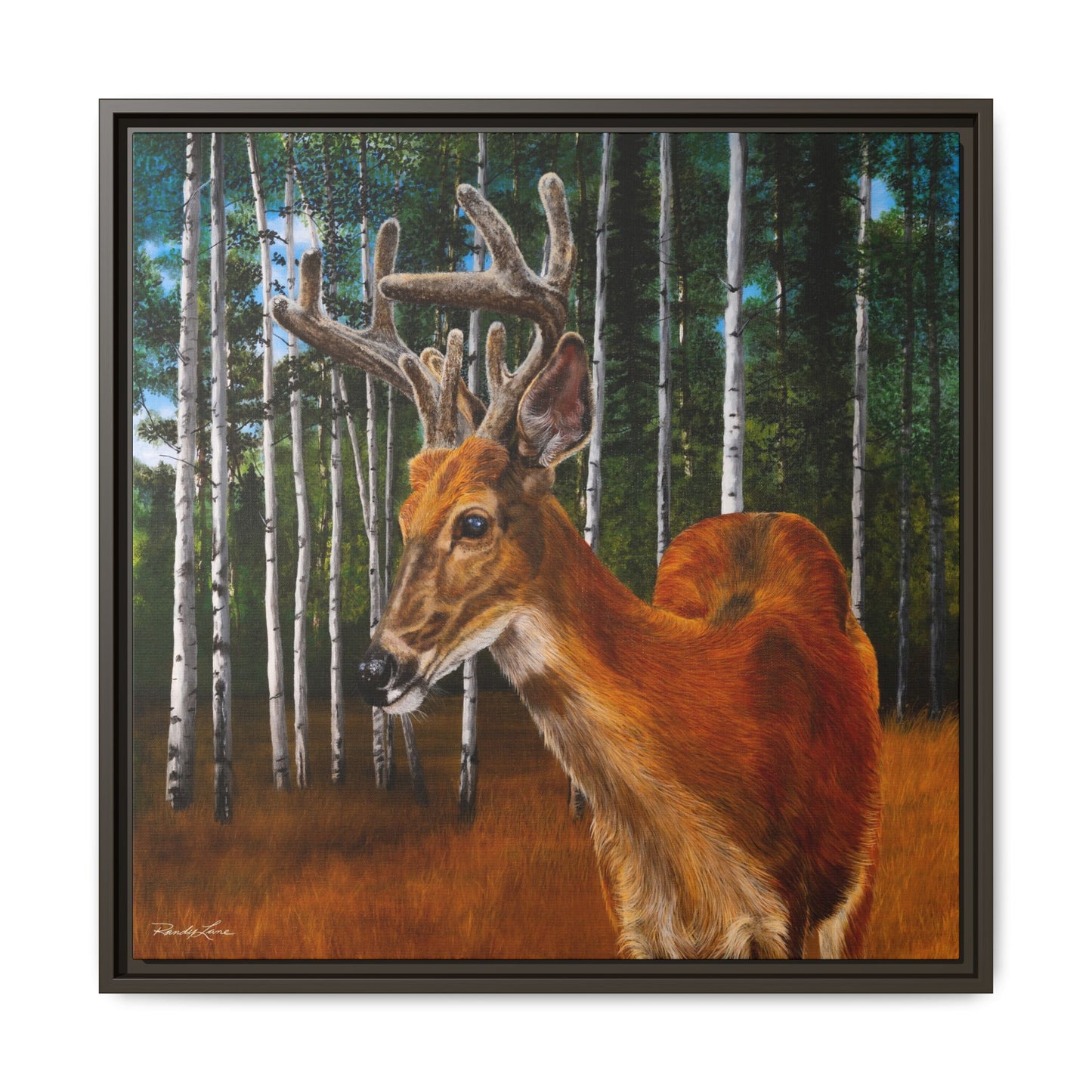 Velvet Crush, Framed Deer Canvas Art