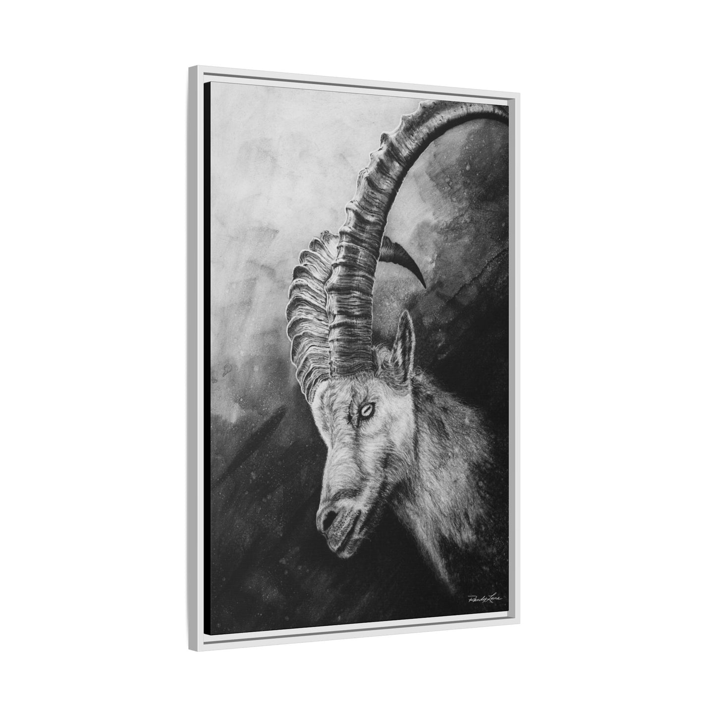 Apex,  Alpine Mountain Goat, Framed Matte Canvas Art Print,