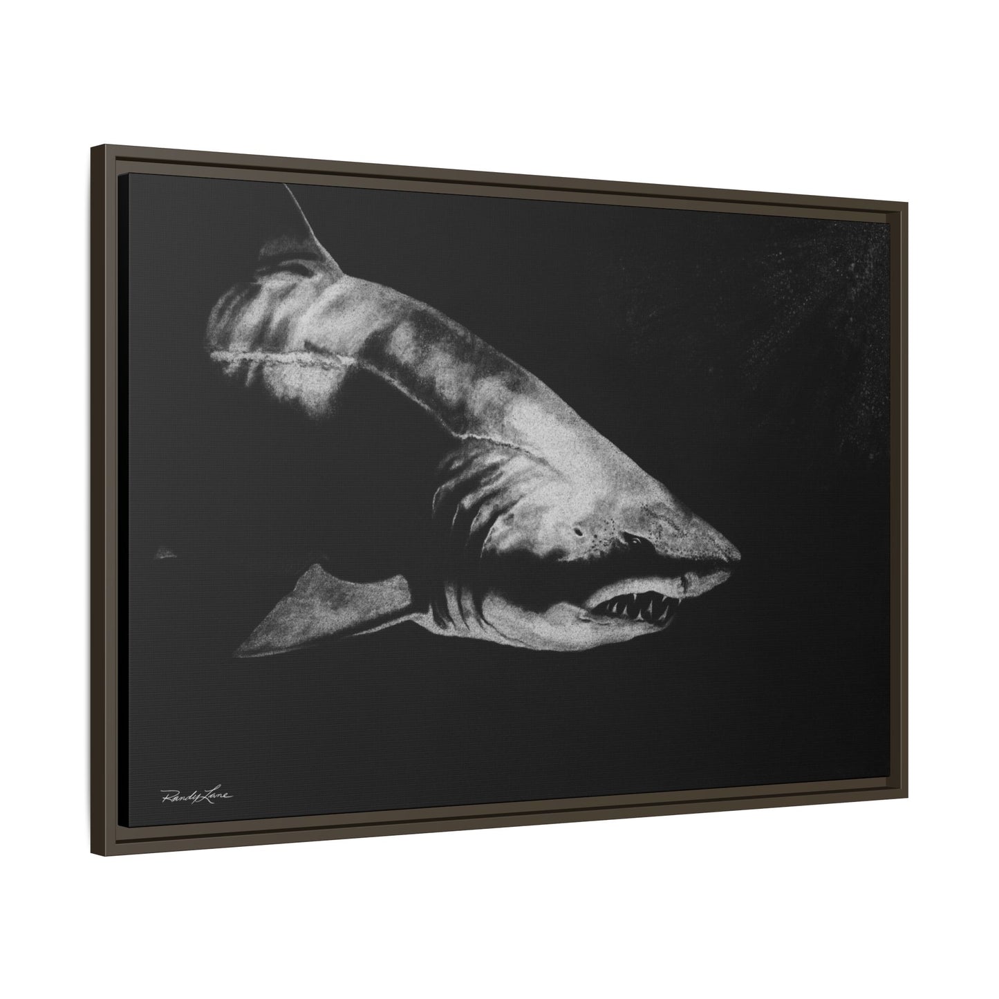 Below, Framed Shark Fine Art Print, Matte Canvas Wall Decor