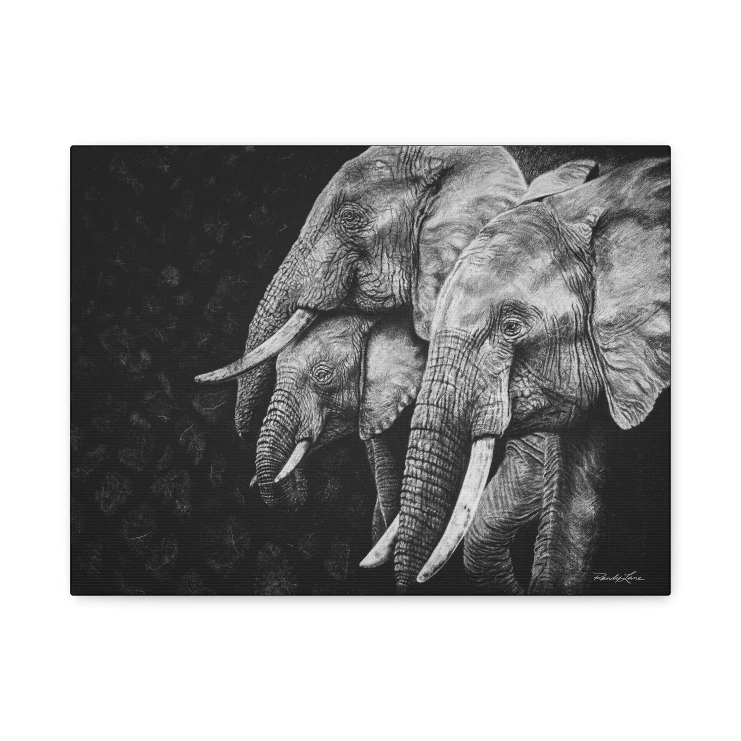 Brushland Bond. Elephant Art Stretched Canvas Print
