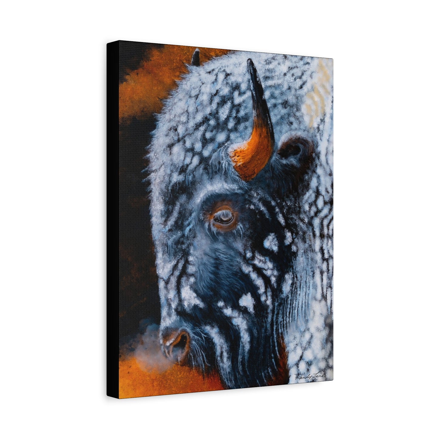 Storm Bison, Stretched Canvas Art Print