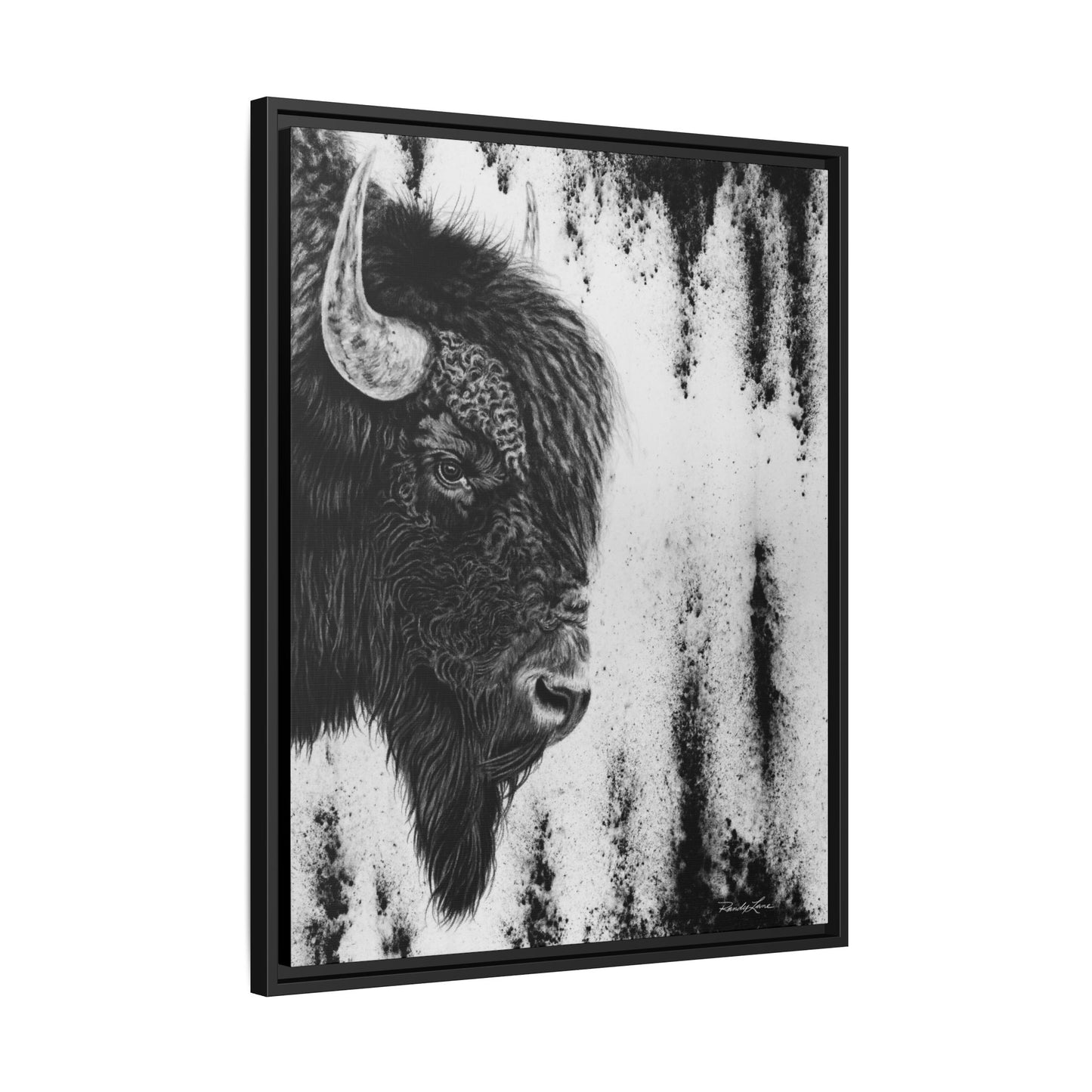 Pride, Framed Bison Canvas Art