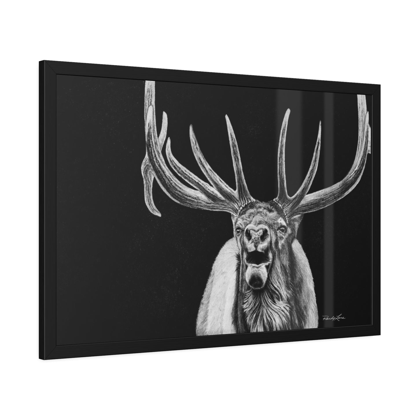 Heavy is the Crown, Framed Elk Fine Art Print