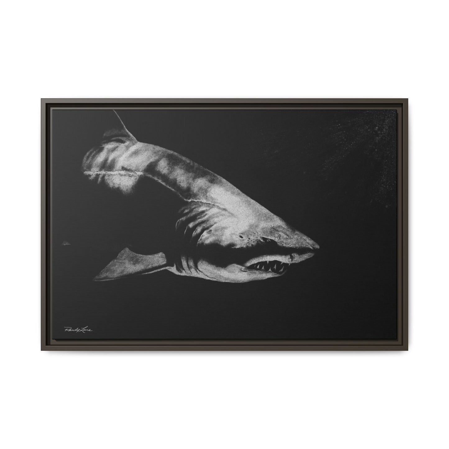 Below, Framed Shark Fine Art Print, Matte Canvas Wall Decor
