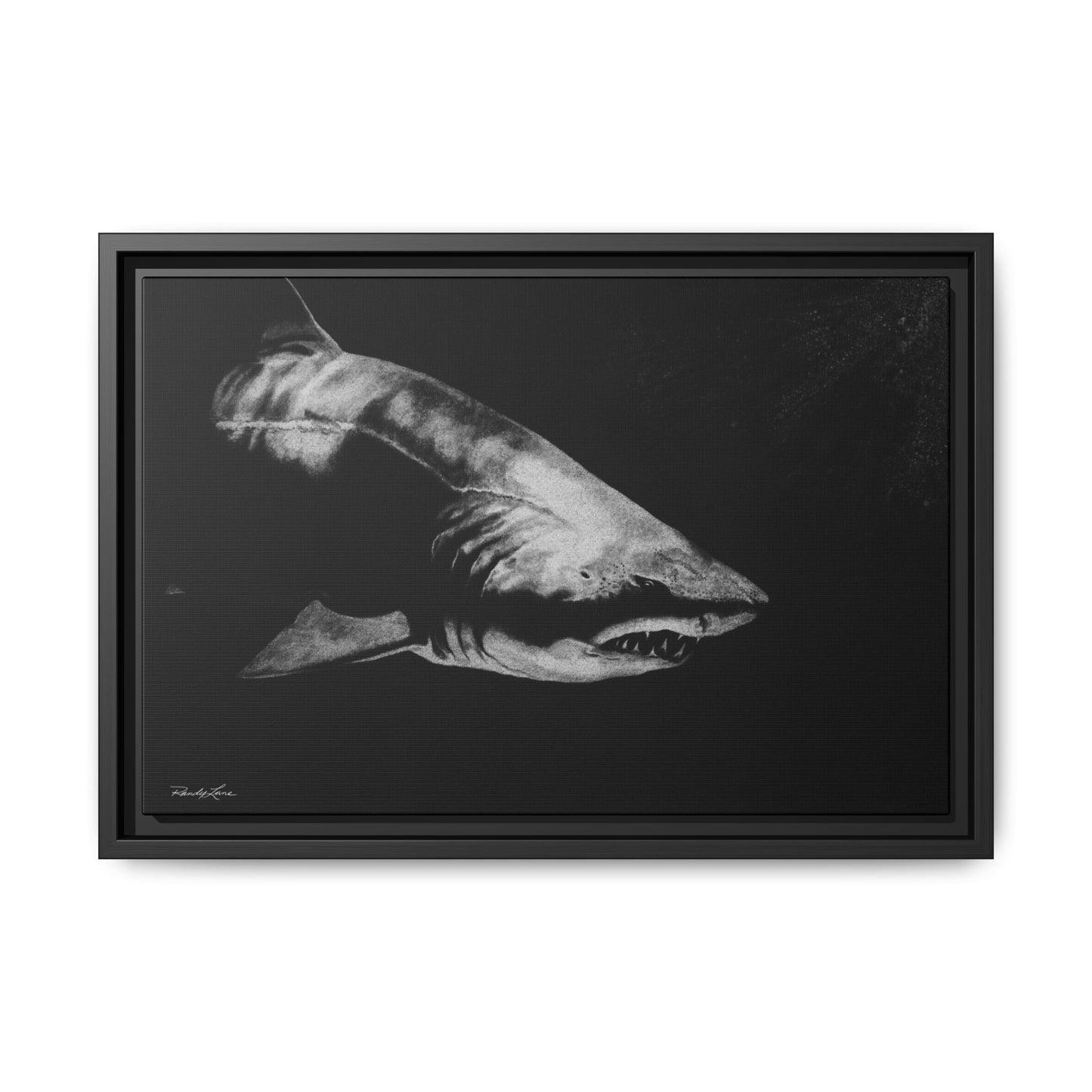Below, Framed Shark Fine Art Print, Matte Canvas Wall Decor