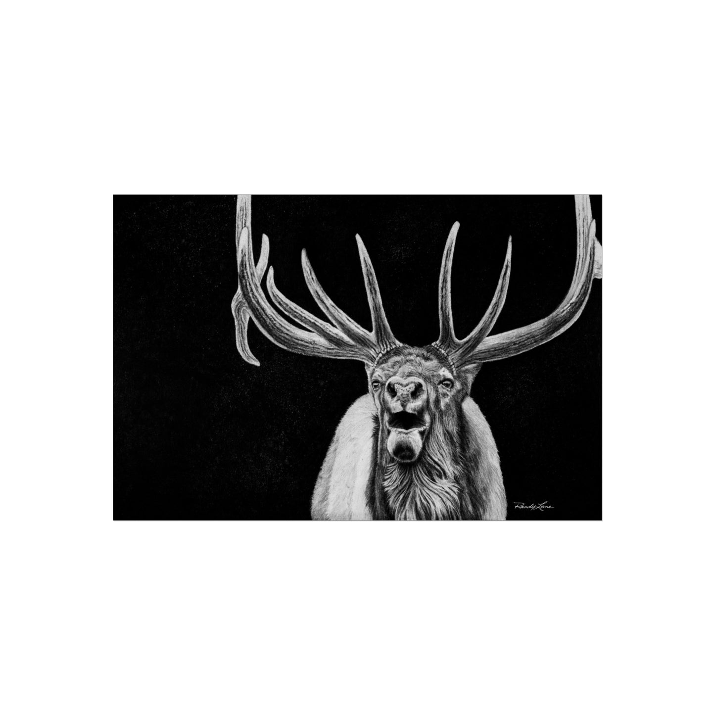 Heavy is the Crown, Fine Art Elk Print