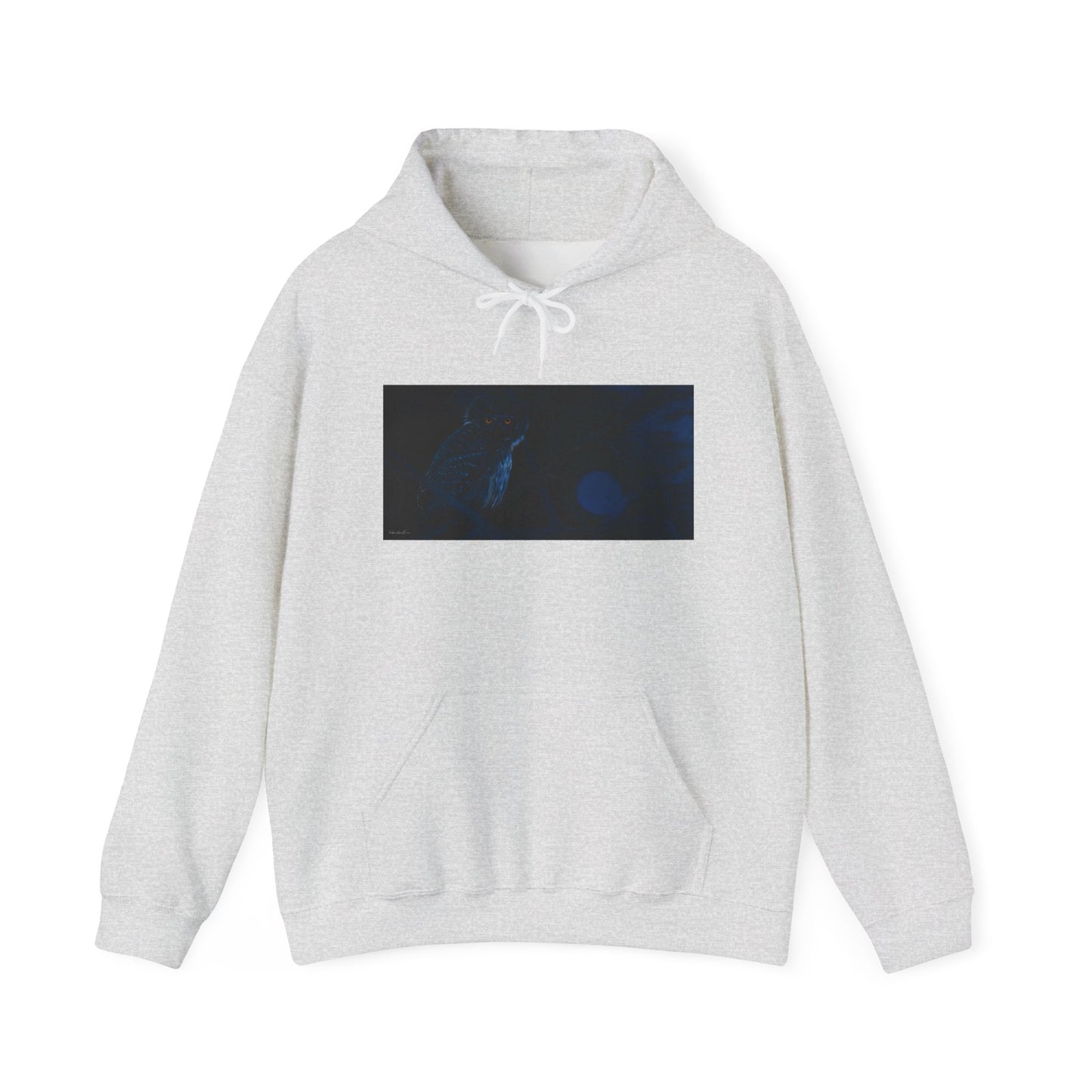 Bright Eyes, Owl print Cozy Unisex Hooded Sweatshirt