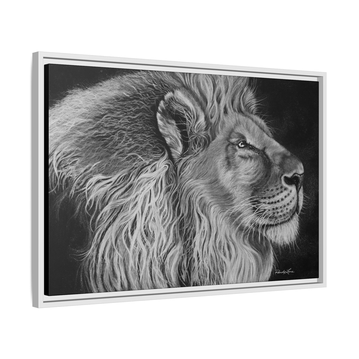 King of Cool, Majestic Lion Framed Canvas Art