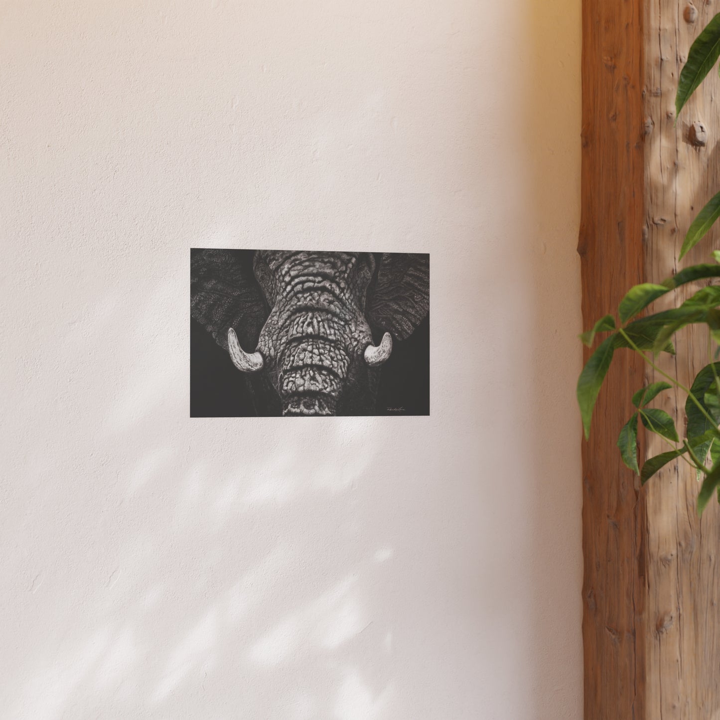 Ebony and Ivory, Elephant Portrait Fine Art Print (Satin/Archival Matte)