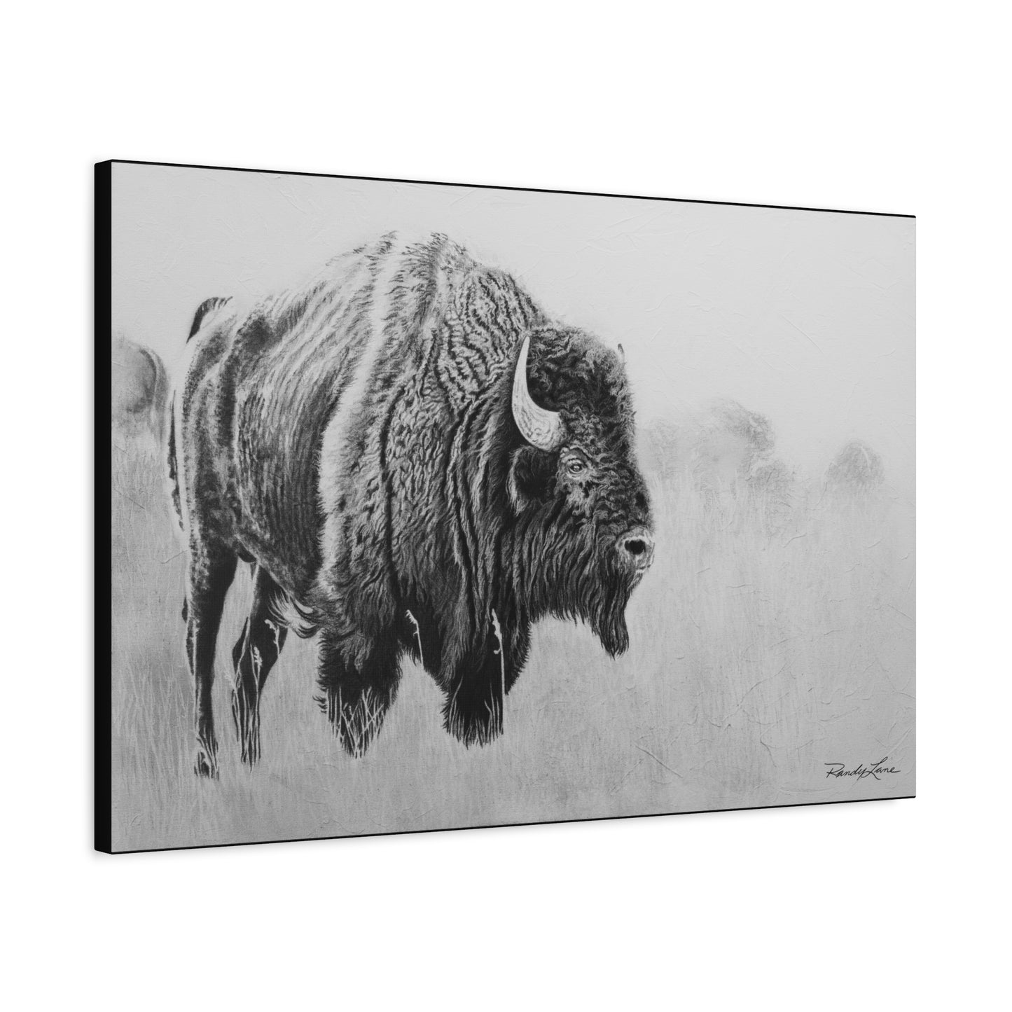 Prairie Bison, Buffalo Charcoal Art Matte Canvas Print — Stretched 1.25" Wall Decor