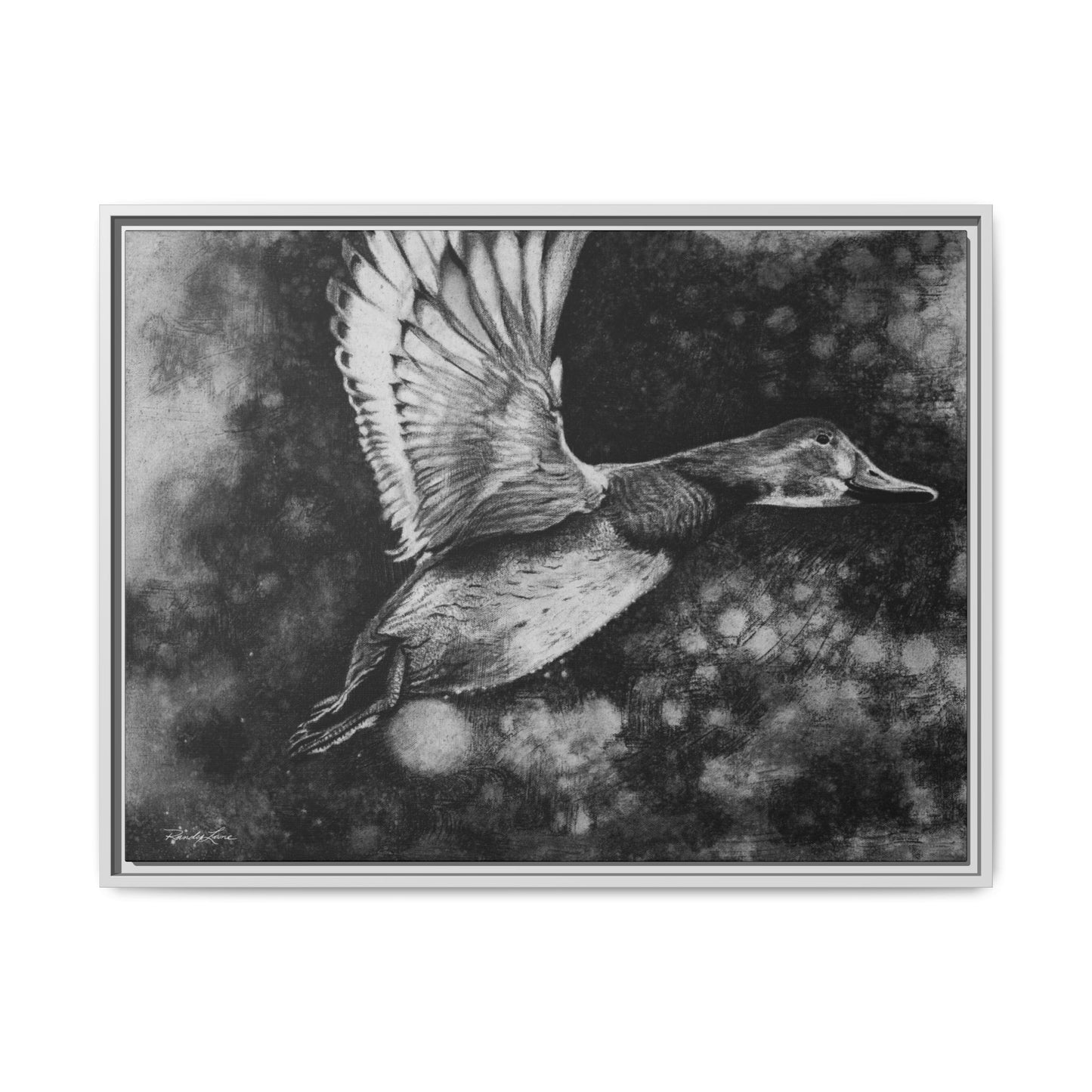 Flare, Framed Duck Canvas Art