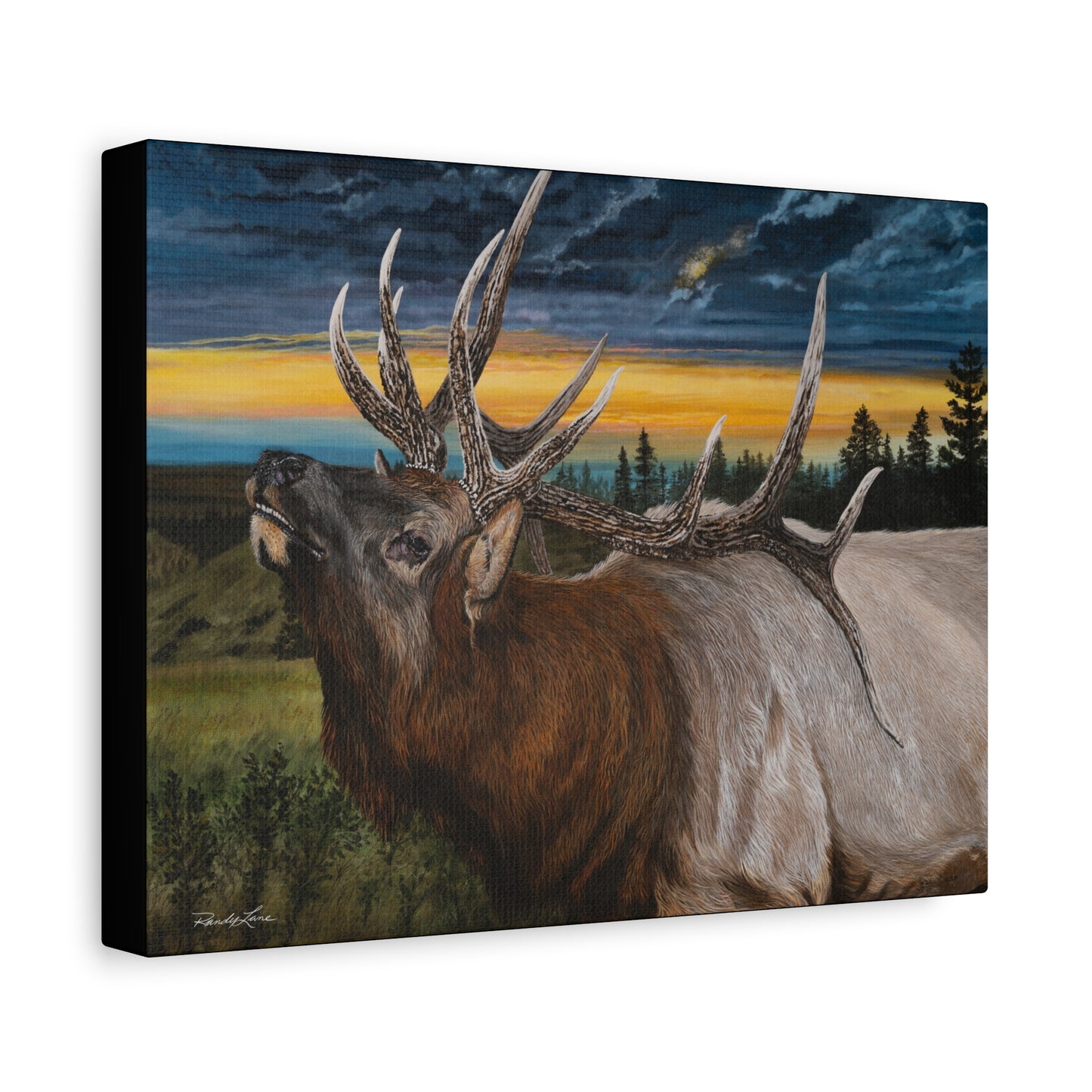 Sunset Serenade,  Elk Canvas Art Print