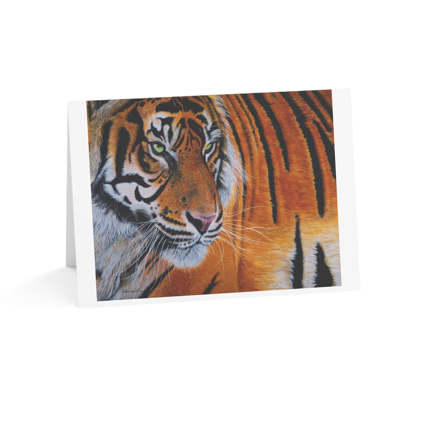 Tiger Stripe, Tiger Greeting Cards Set
