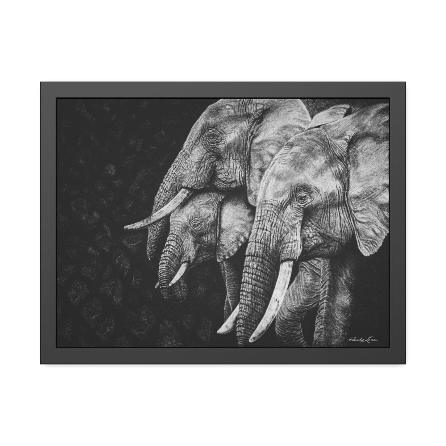Brushland Bond. Elephant Framed Fine Art Print