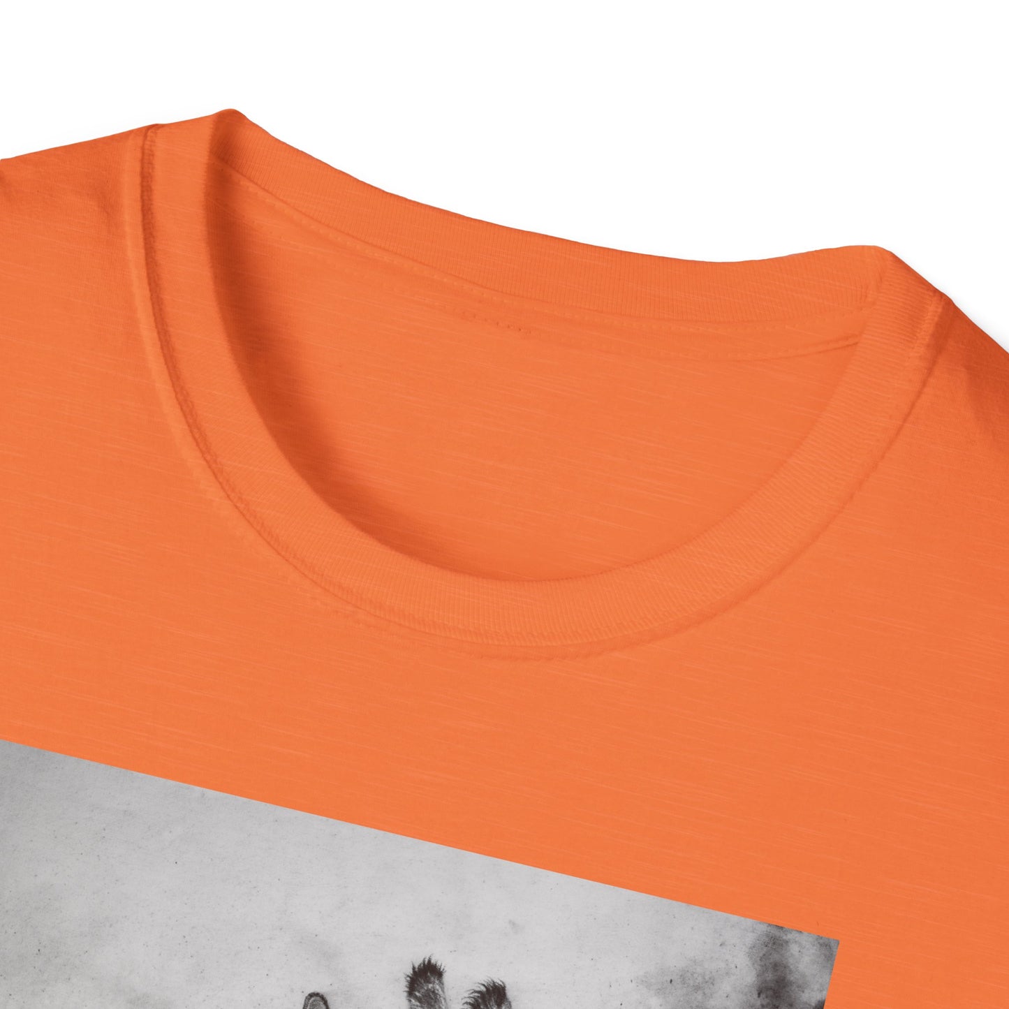 Grace in the Grassland, Giraffe Unisex Softstyle T-Shirt