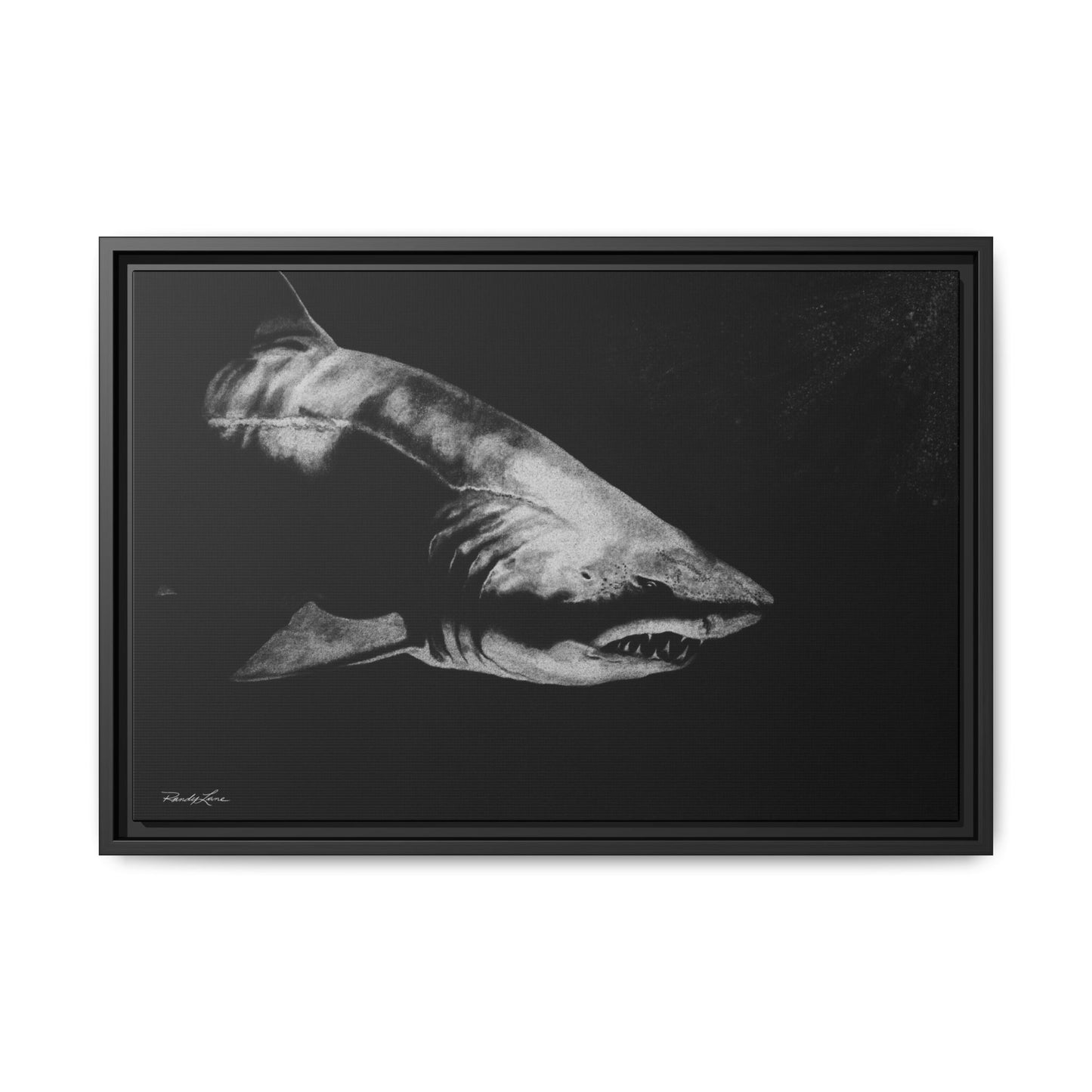 Below, Framed Shark Fine Art Print, Matte Canvas Wall Decor