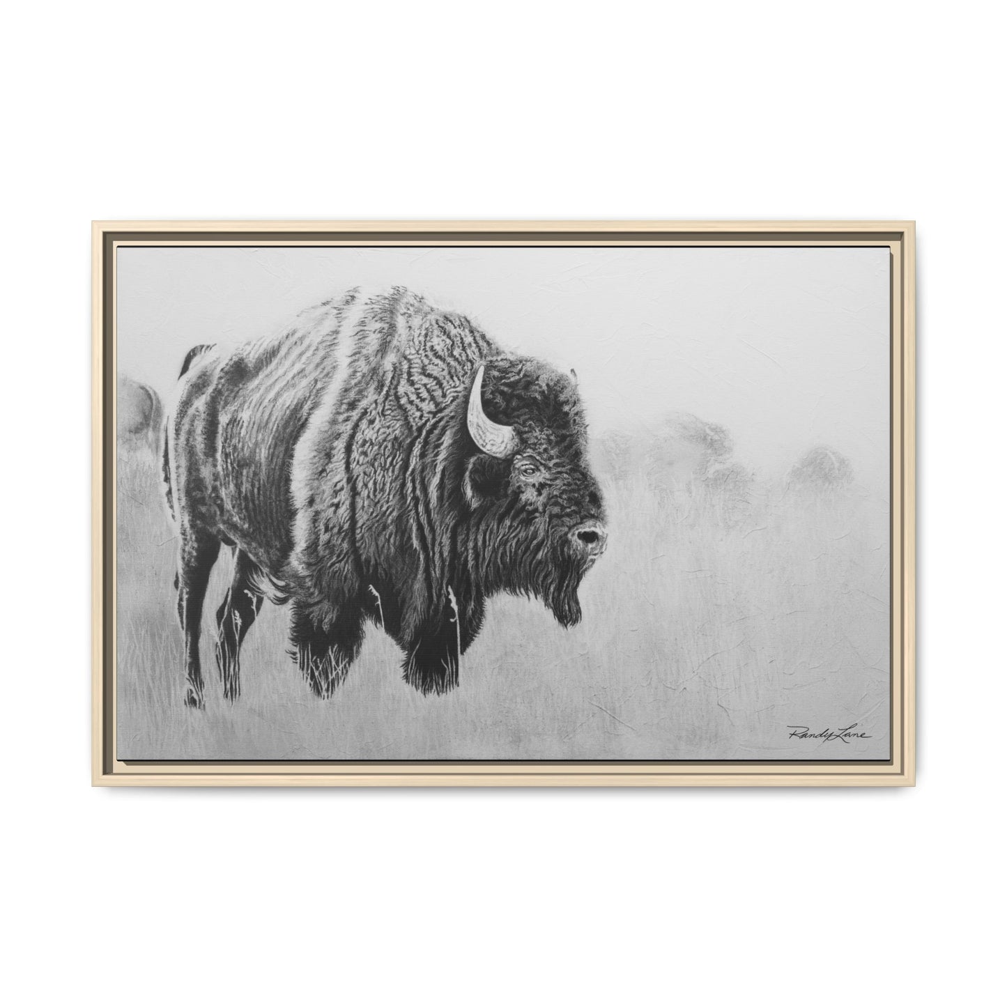 Prairie Bison, Bison Painting Framed Matte Canvas Print — Black & White Wildlife Wall Art