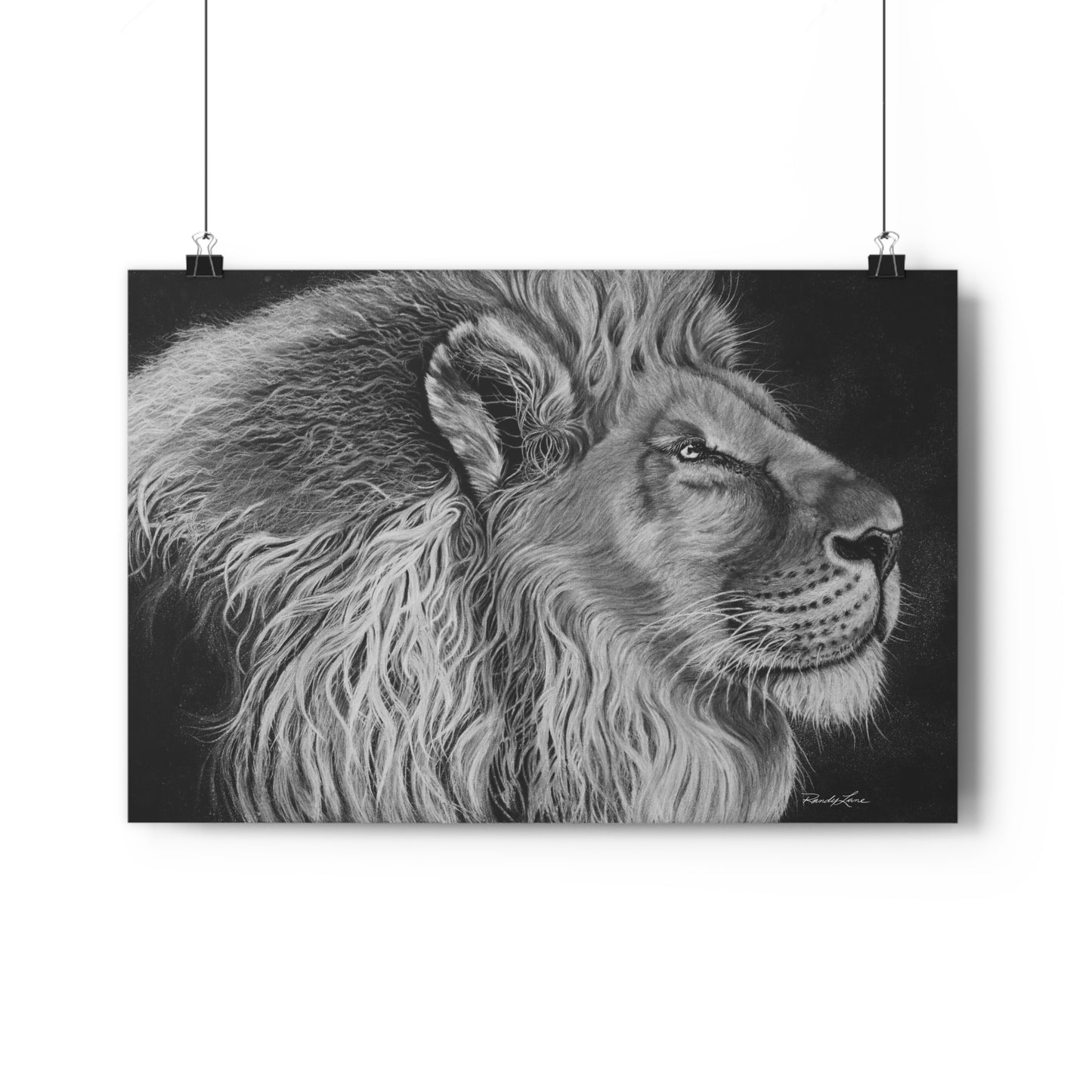 King of Cool, Majestic Lion Giclée Art Print