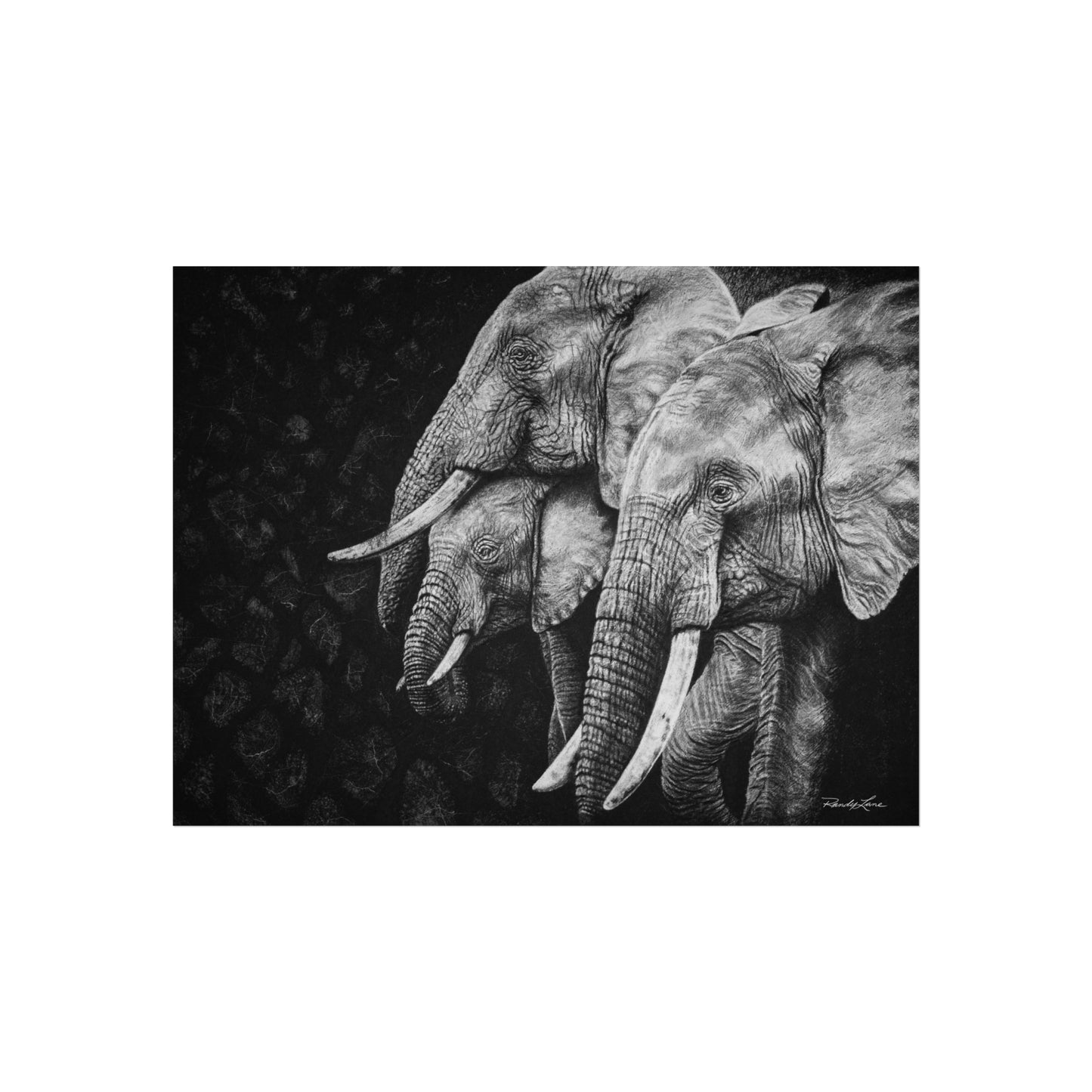Brushland Bond. Elephant Fine Art Print