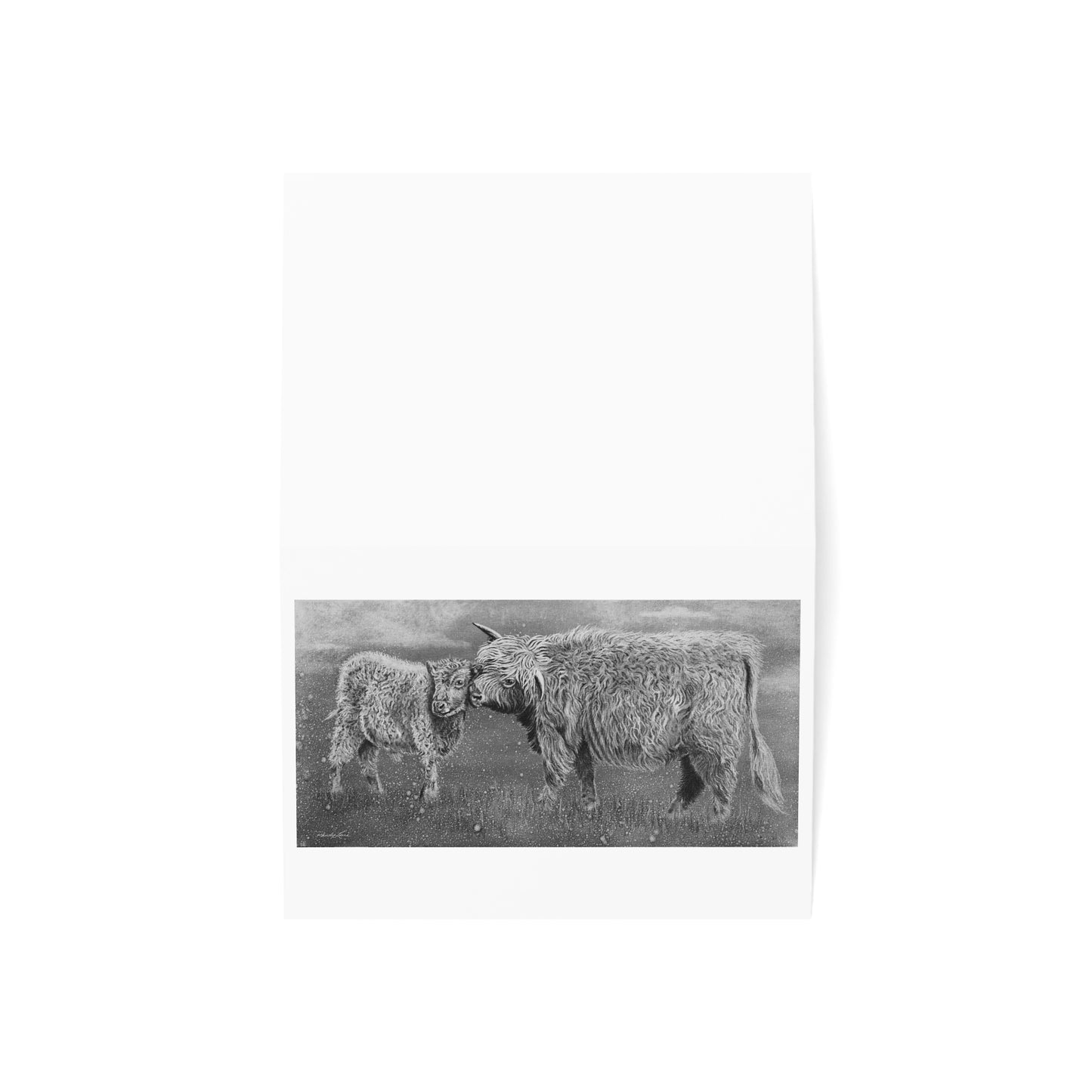 Highland Love,  Highland Cow Greeting Cards
