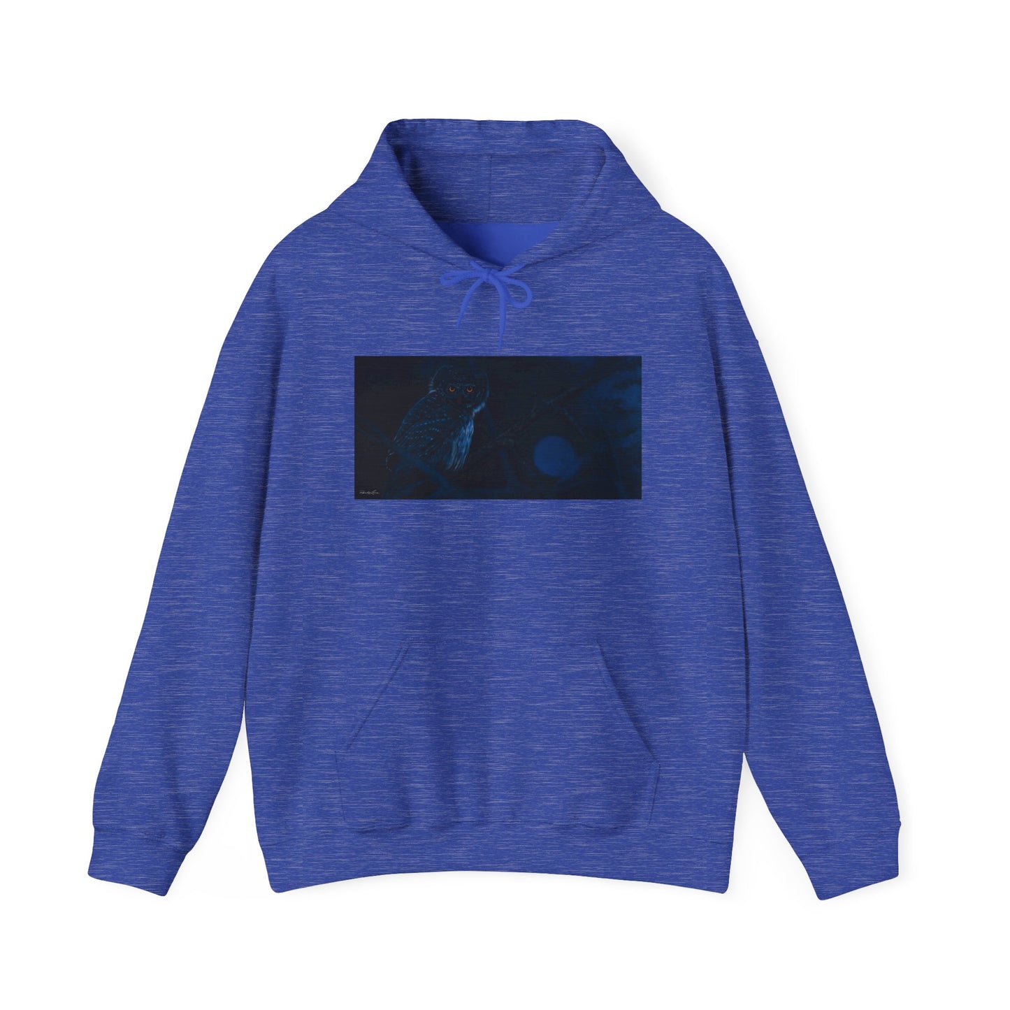 Bright Eyes, Owl print Cozy Unisex Hooded Sweatshirt