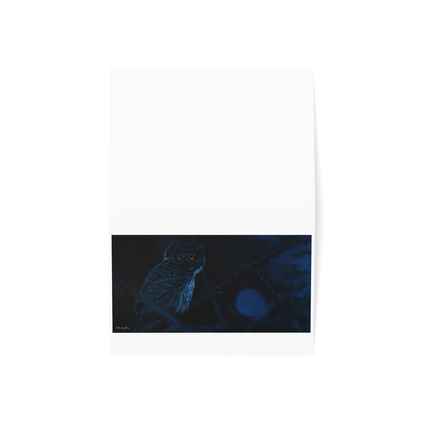 Bright Eyes, Owl Greeting Cards - Perfect for All Occasions 1-50 Packs