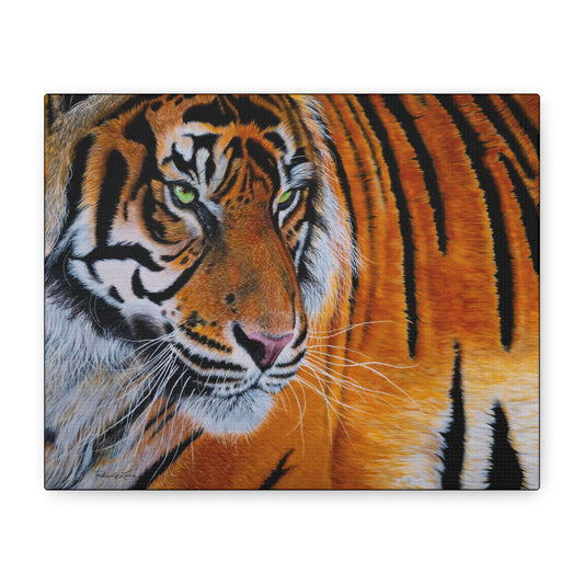 Tiger Stripe, Tiger Canvas Art
