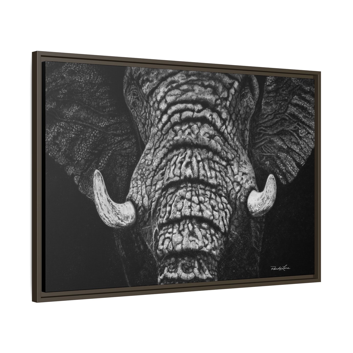 Ebony and Ivory, Elephant Portrait Framed Canvas Wall Art