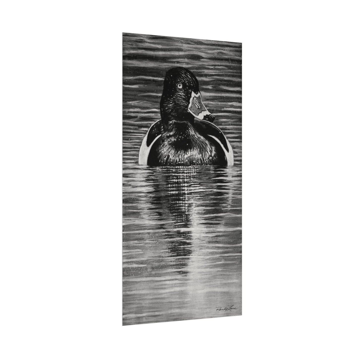 Reflection, Ring necked Duck Painting, Textured Matte Print