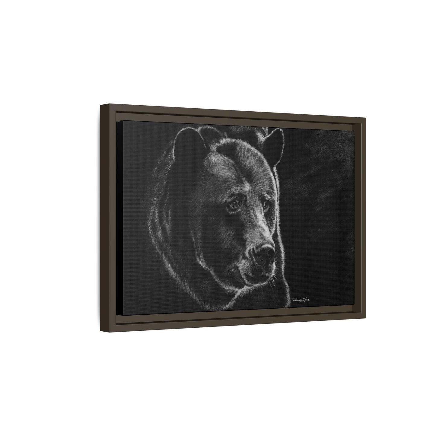 Dominance, Bear Portrait Stretched Framed Matte Canvas Print