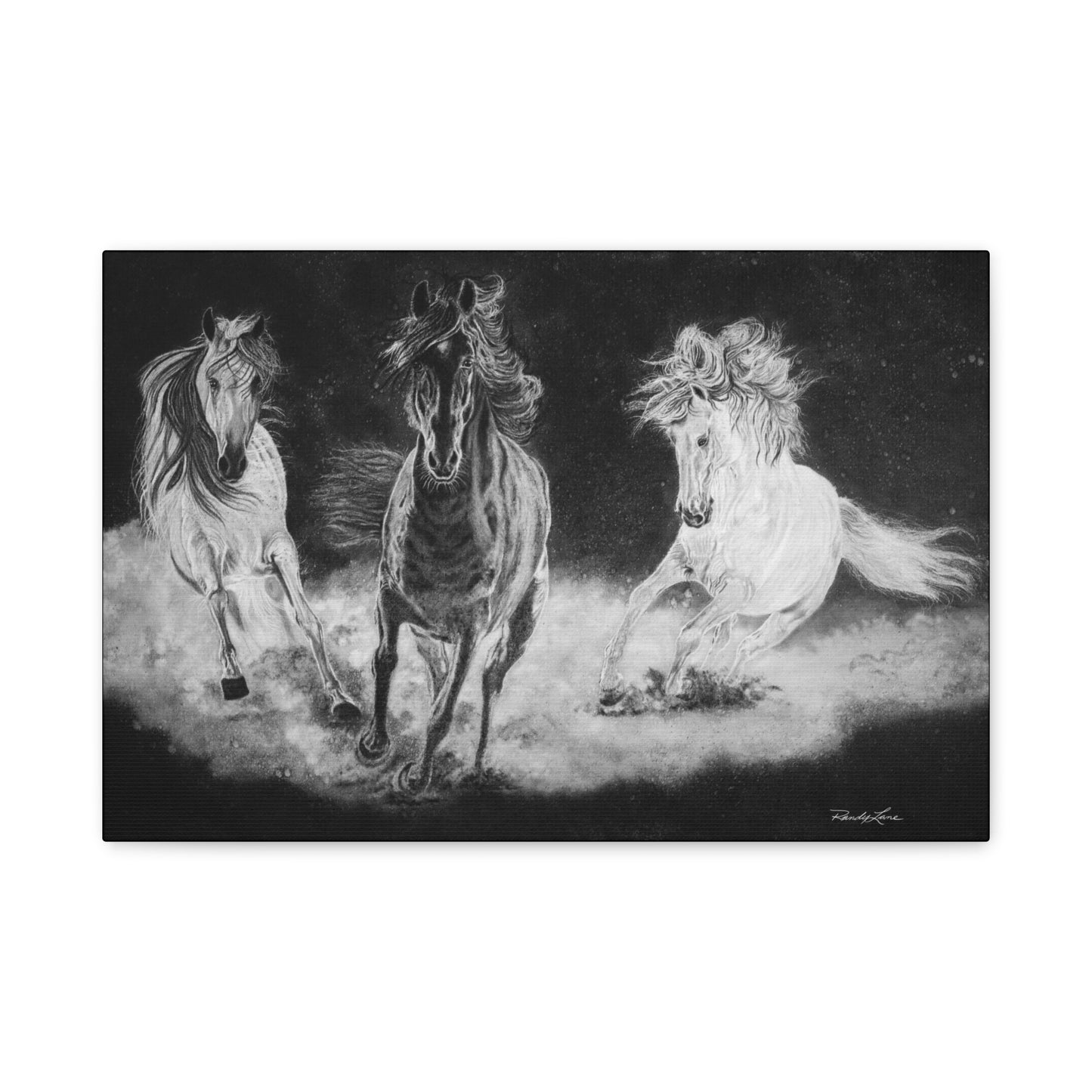 Midnight Run. Stretched Matte Canvas Fine Art Horse Prints