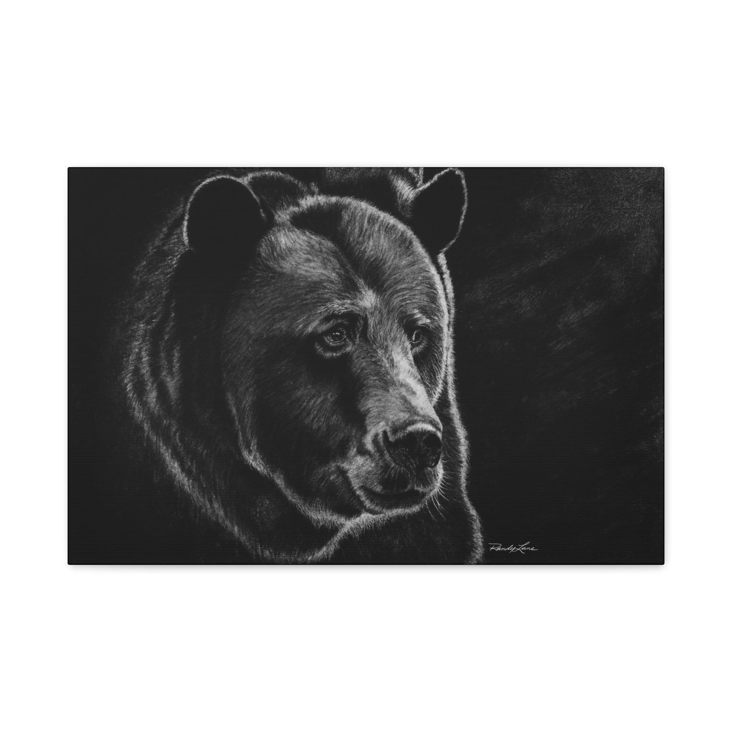 Dominance, Stretched Canvas Bear Print