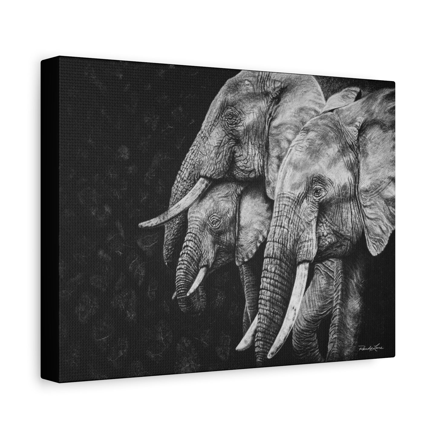 Brushland Bond. Elephant Art Stretched Canvas Print