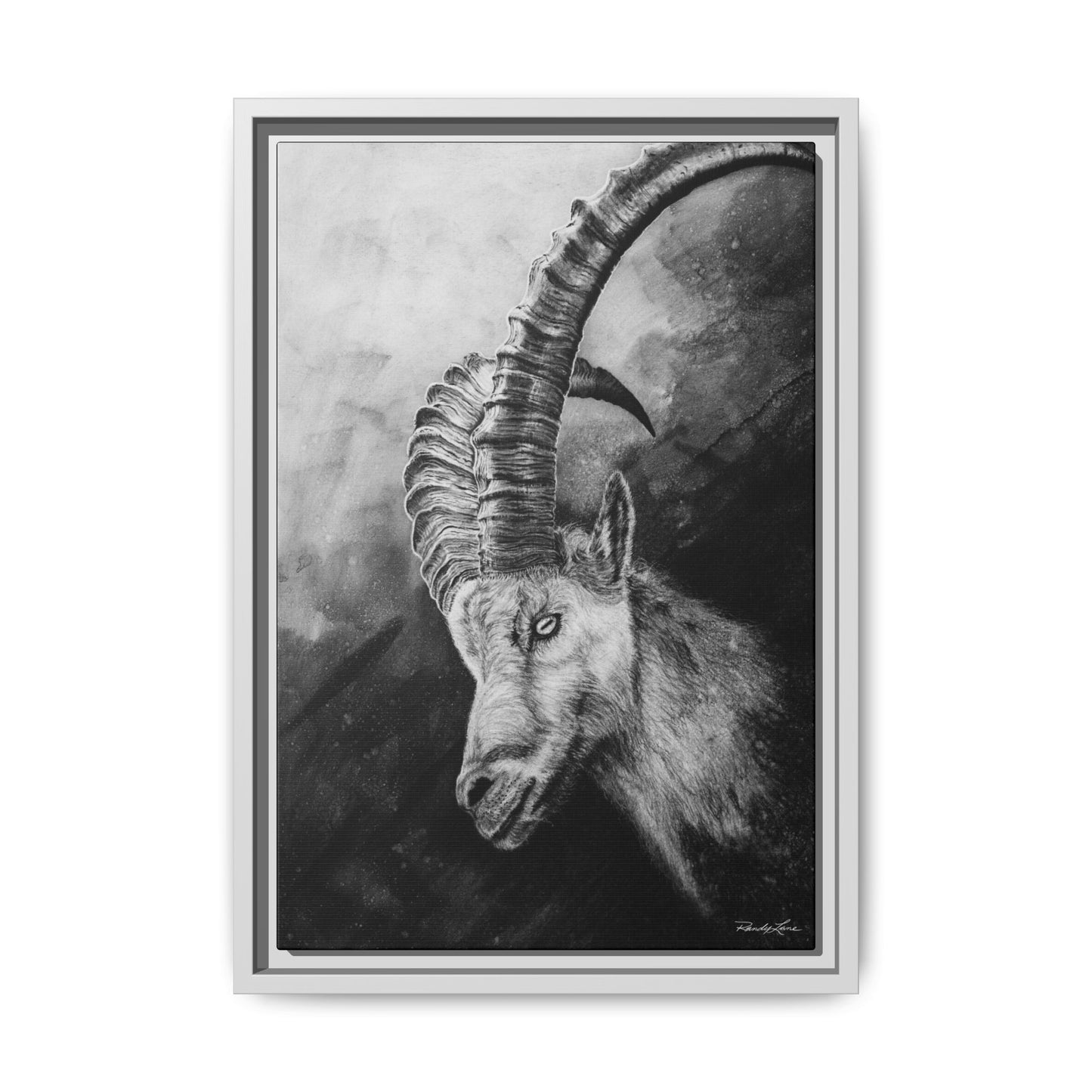 Apex,  Alpine Mountain Goat, Framed Matte Canvas Art Print,