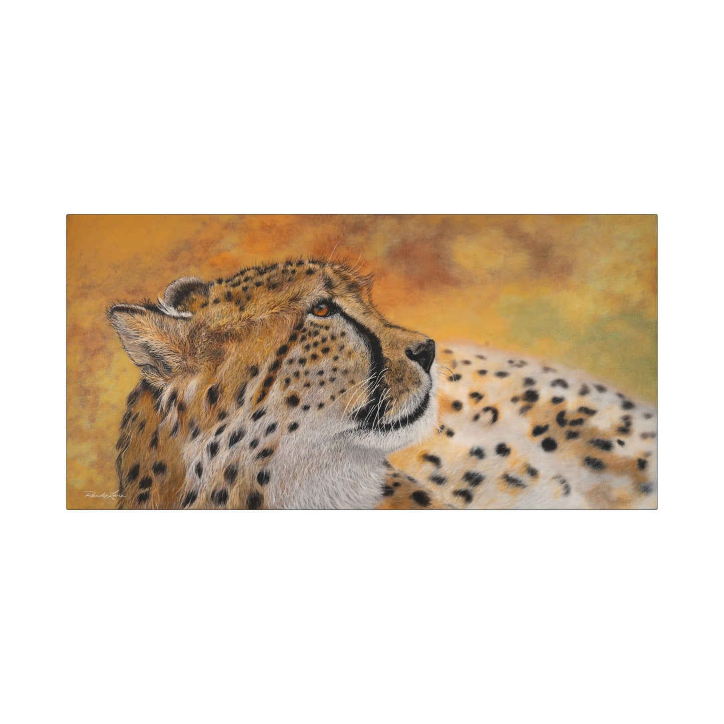 Cheetah Chill,  Canvas Cheetah Wall Art,
