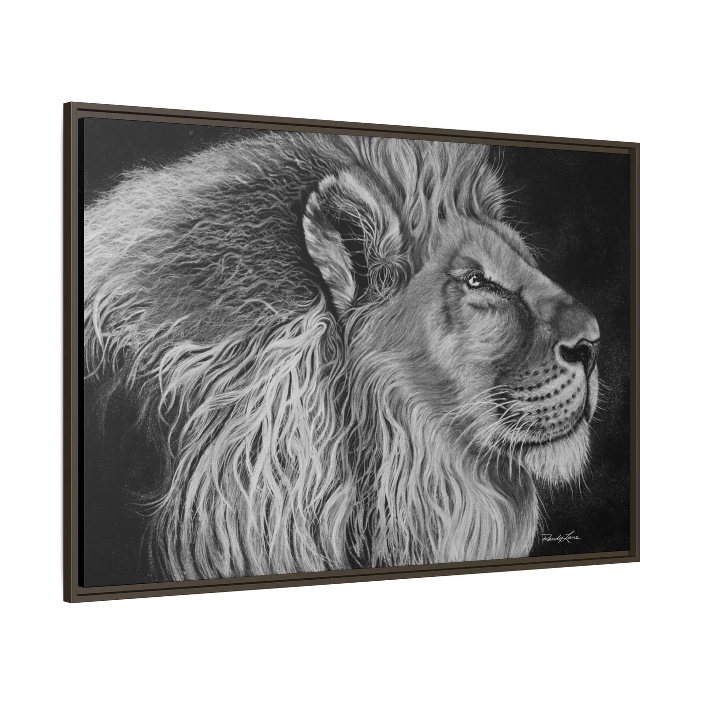 King of Cool, Majestic Lion Framed Canvas Art