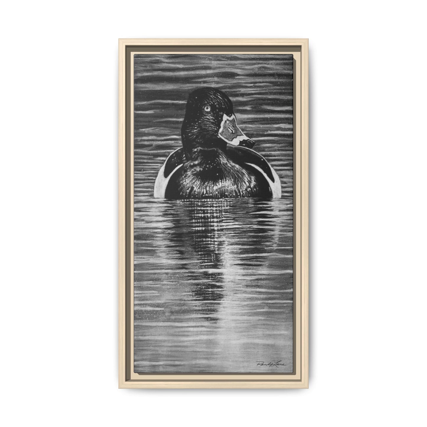 Reflection, Ring necked Duck Painting, Framed Stretched Matte Canvas