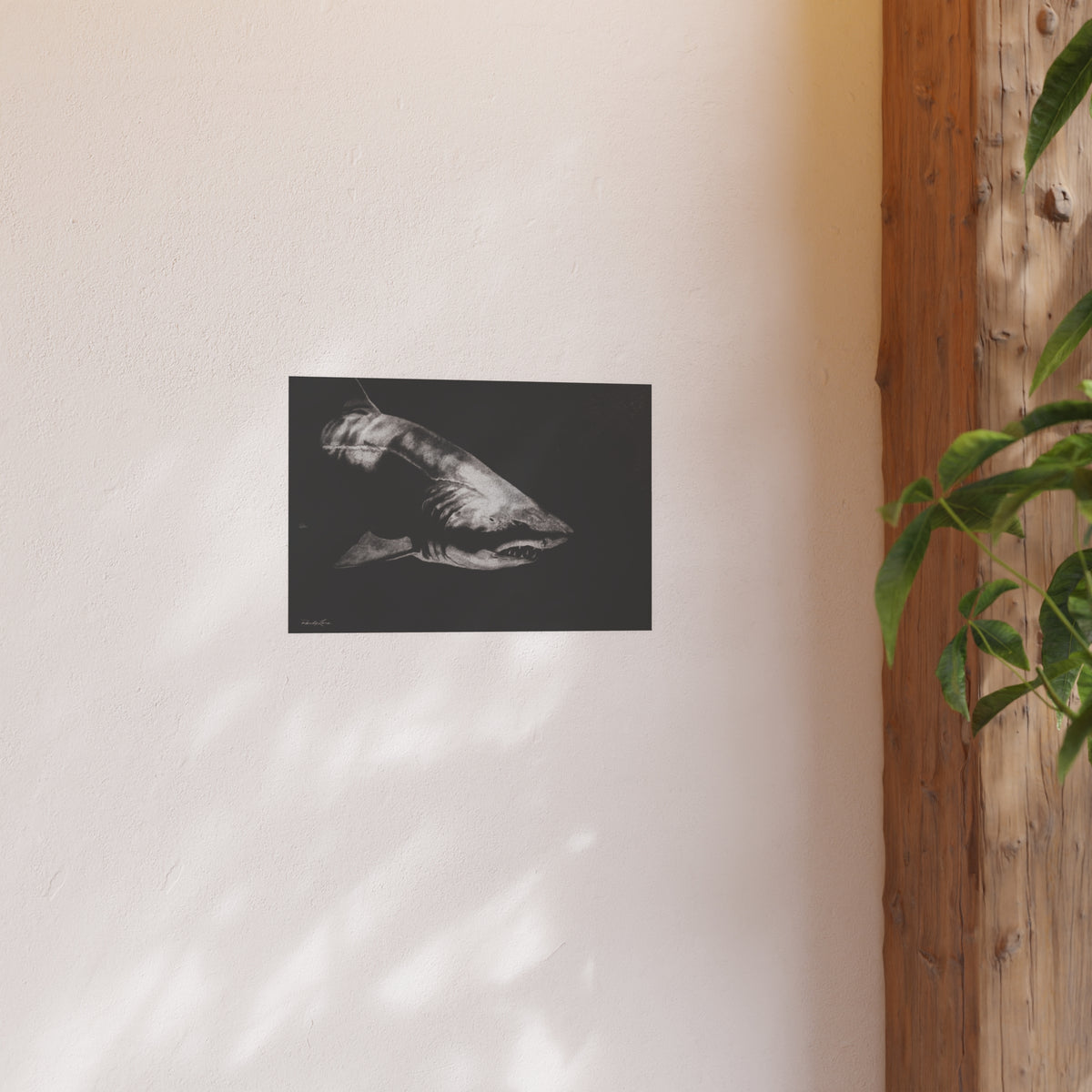 Below, Shark Fine Art Print, Satin/Matte Wall Art