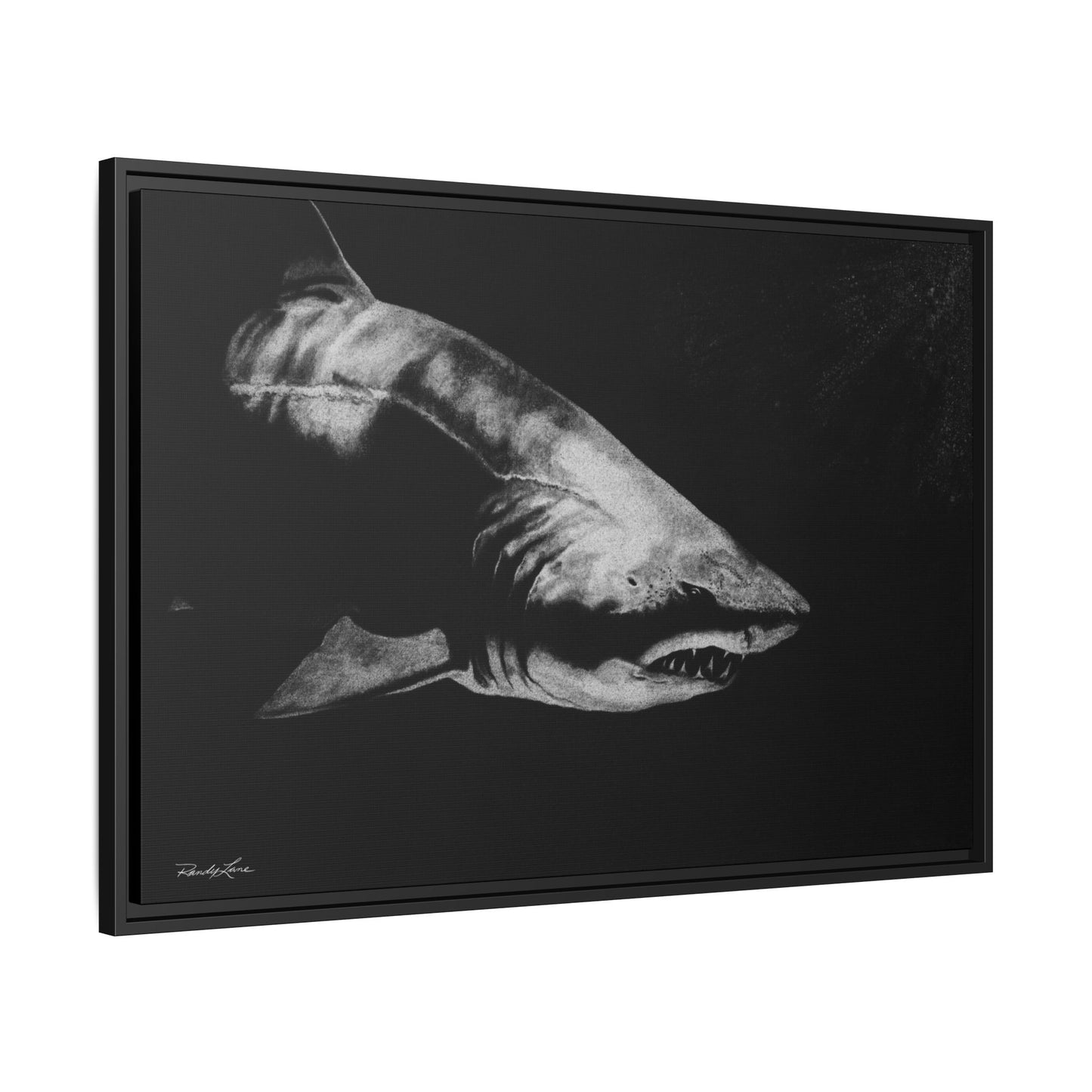Below, Framed Shark Fine Art Print, Matte Canvas Wall Decor