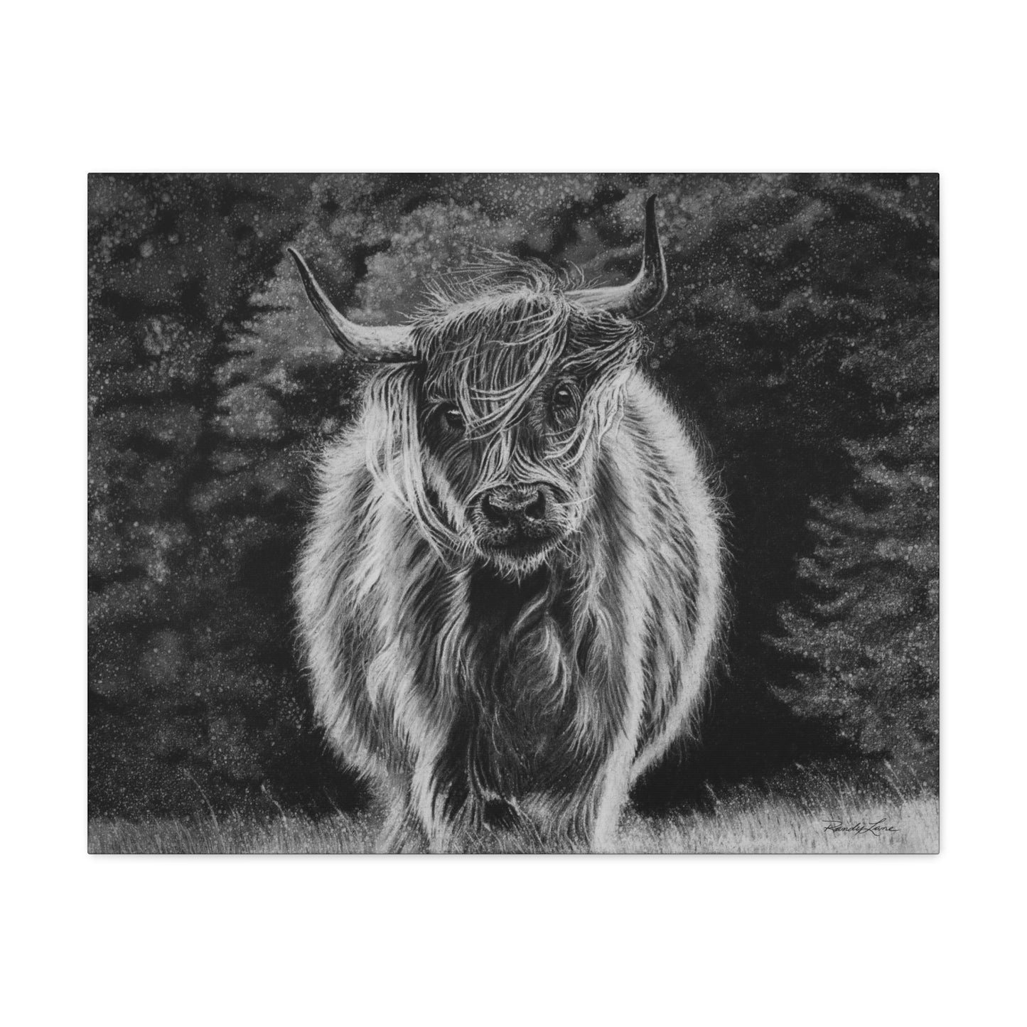 Ragamuffin. Highland Cow Stretched Matte Canvas Wall Art