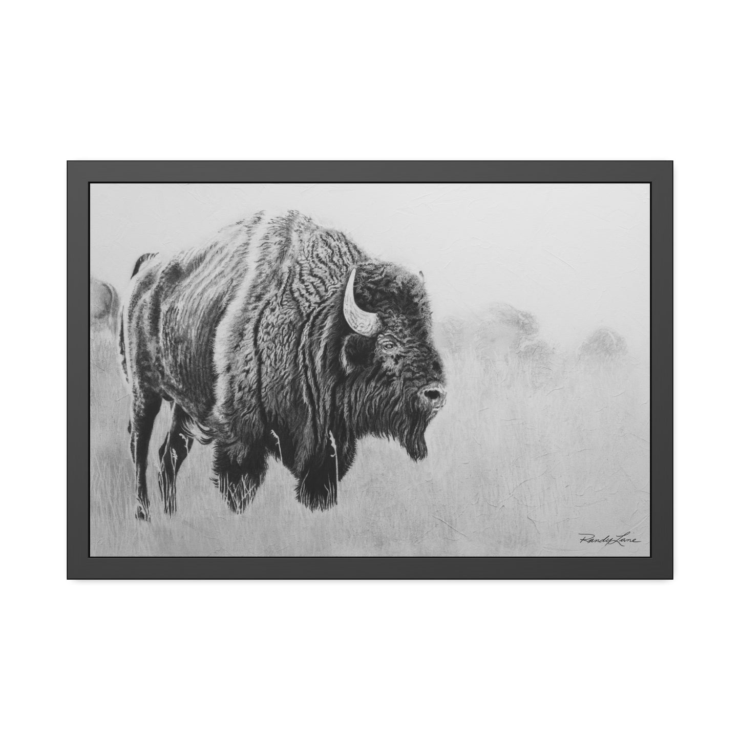 Prairie Bison, Bison Charcoal Art Framed Print